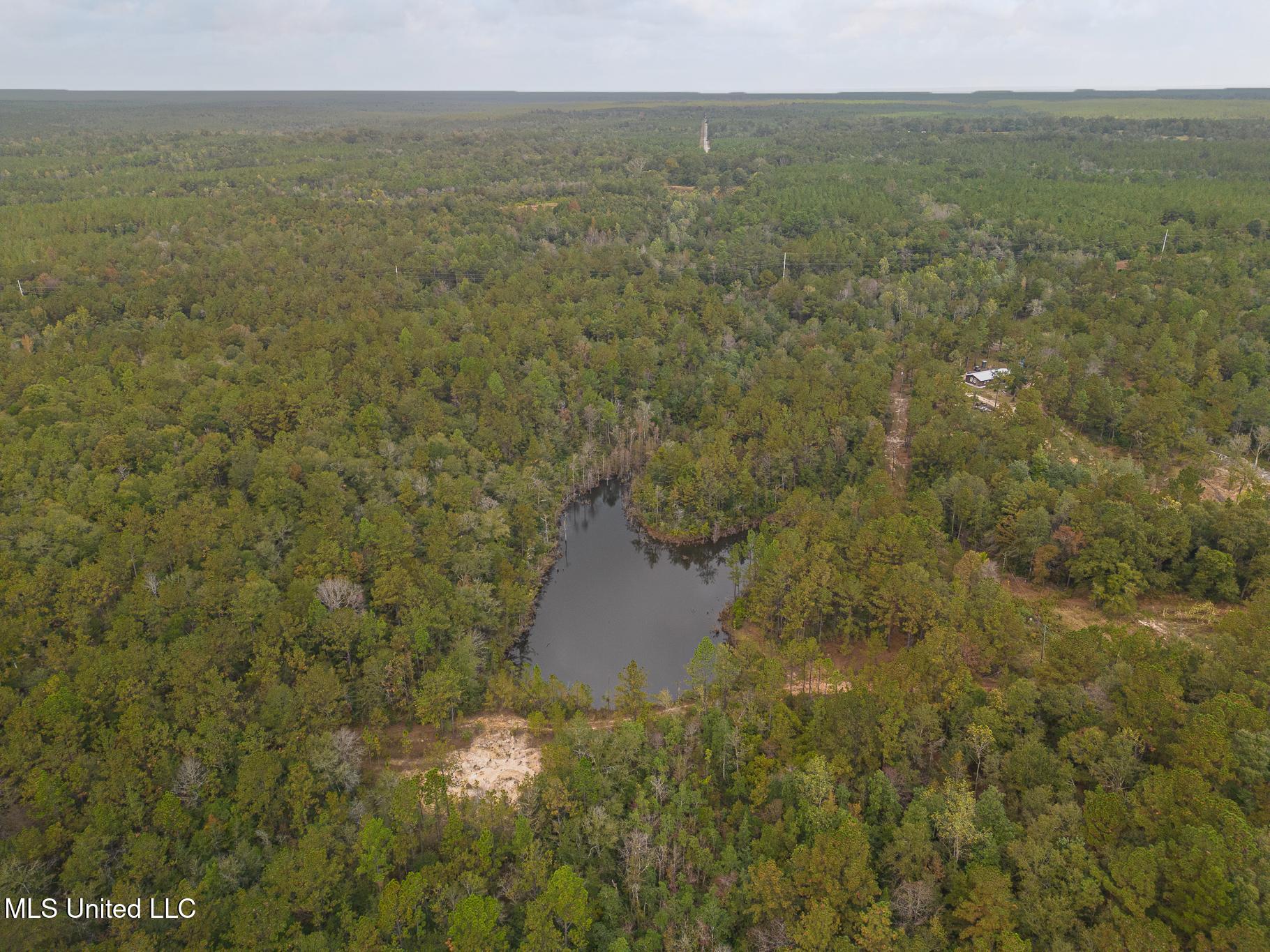 Aaron Scott Road, Lucedale, Mississippi image 9