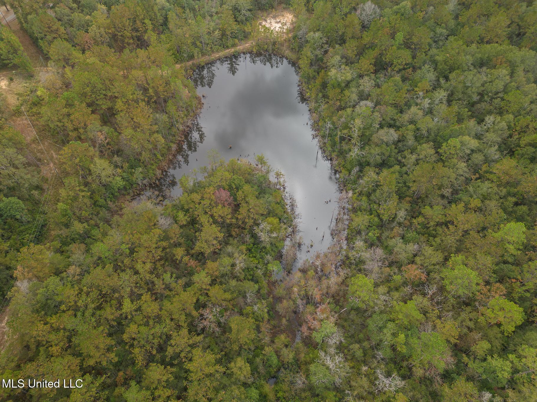 Aaron Scott Road, Lucedale, Mississippi image 5