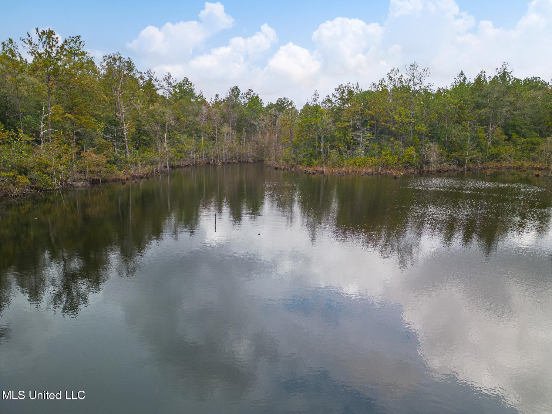 Aaron Scott Road, Lucedale, Mississippi image 8