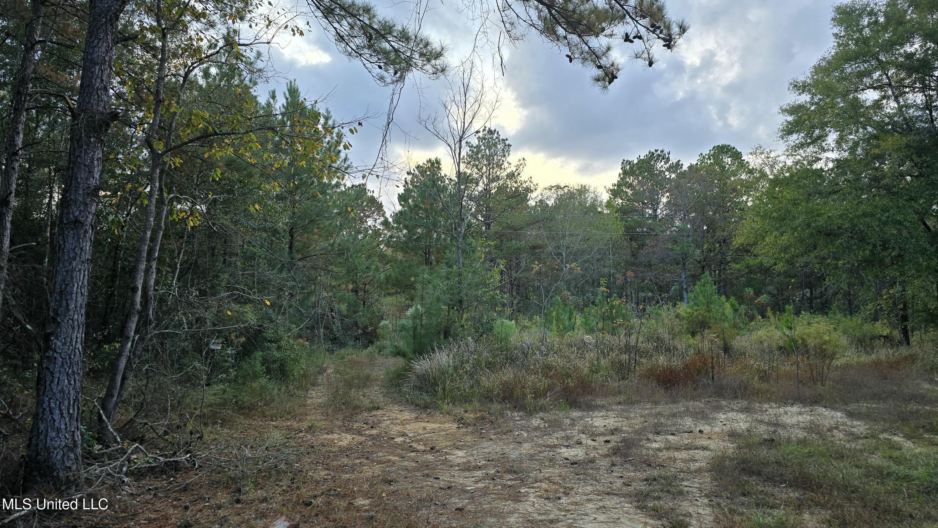 Aaron Scott Road, Lucedale, Mississippi image 4