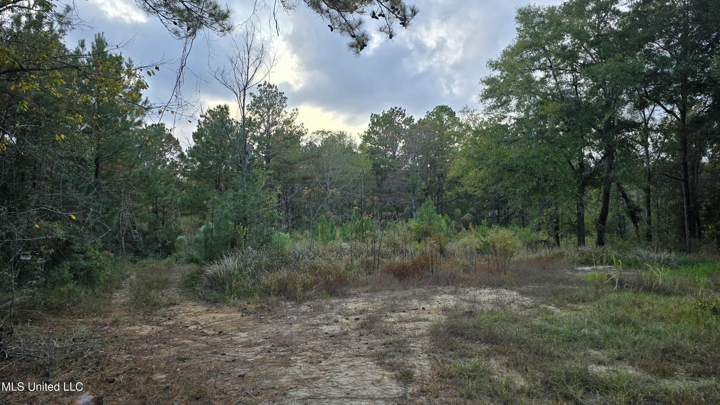 Aaron Scott Road, Lucedale, Mississippi image 3