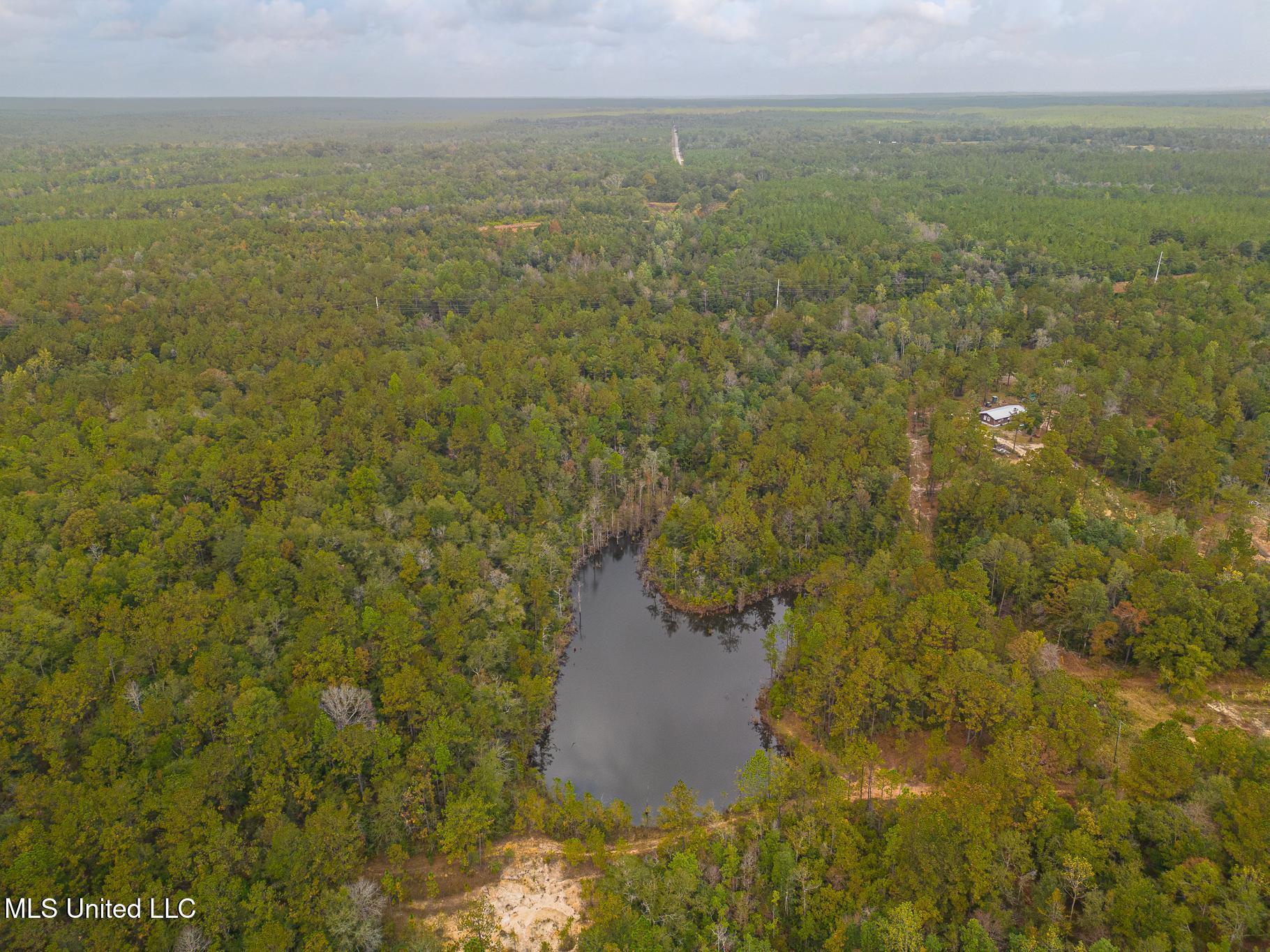 Aaron Scott Road, Lucedale, Mississippi image 11