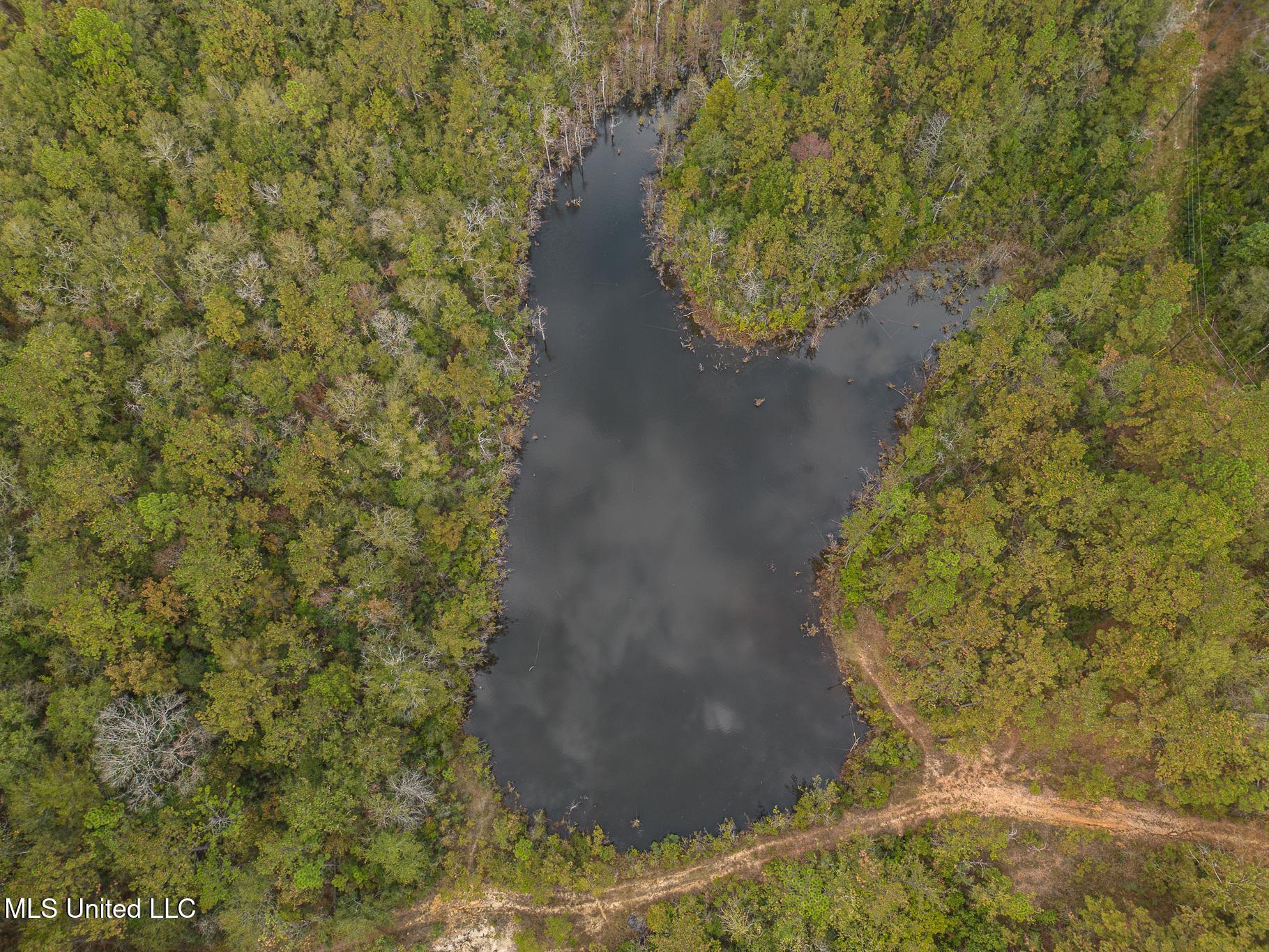 Aaron Scott Road, Lucedale, Mississippi image 7