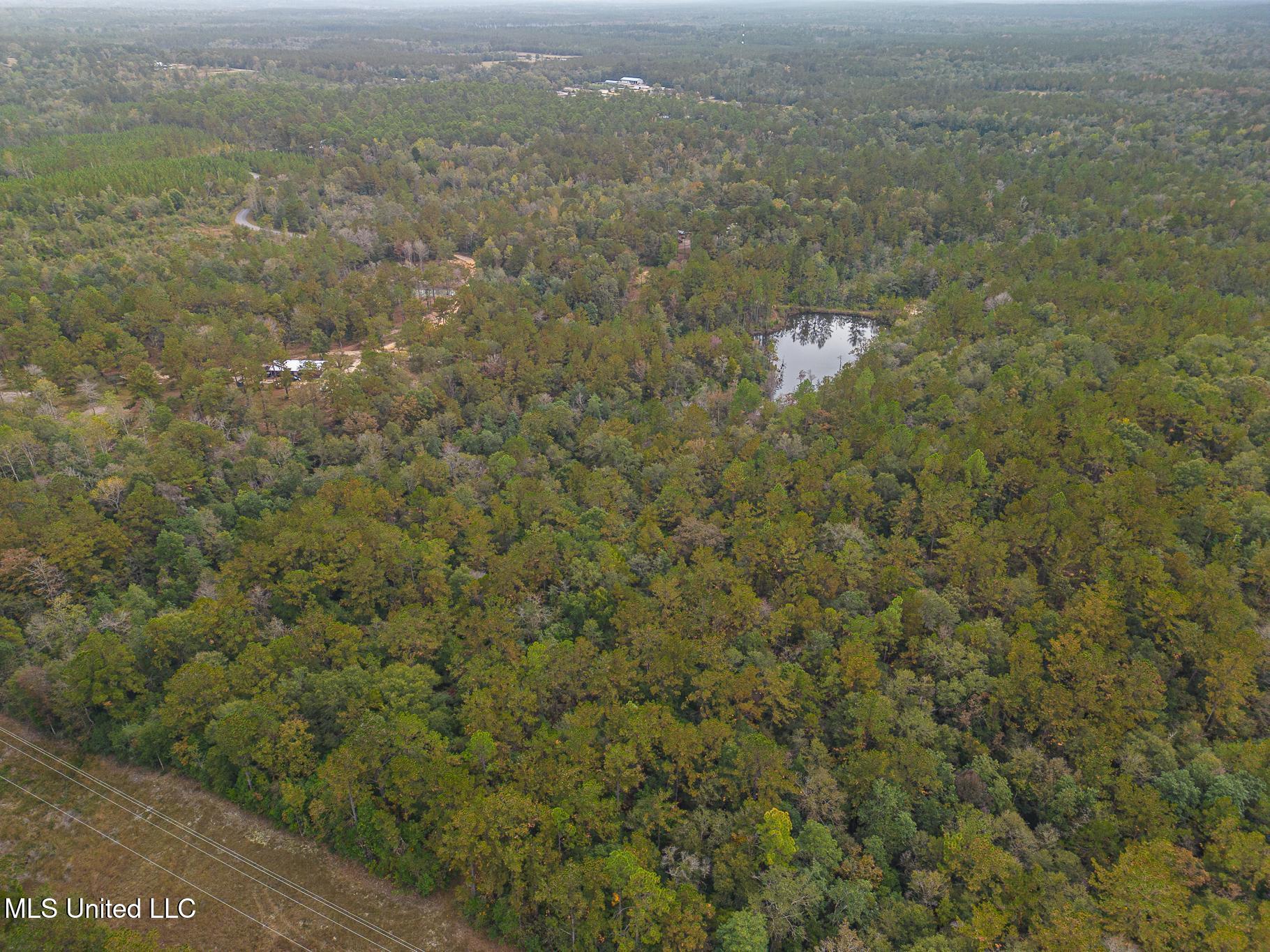 Aaron Scott Road, Lucedale, Mississippi image 1