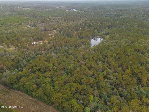 Vacant Land For Sale - Aaron Scott Road<br/> Lucedale, MS 39452