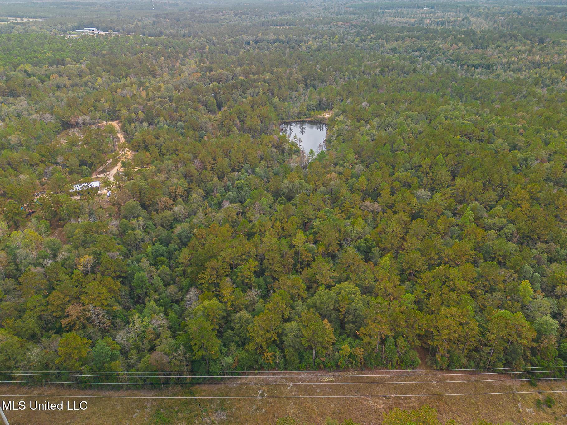 Aaron Scott Road, Lucedale, Mississippi image 6