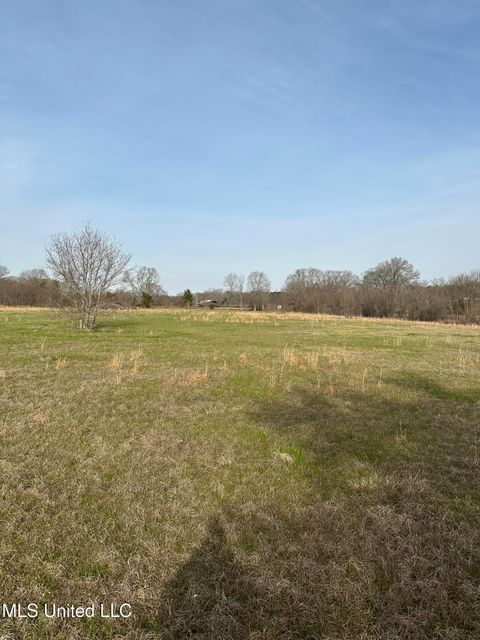 Vacant Land For Sale - Highway 469<br/> Florence, MS 39073