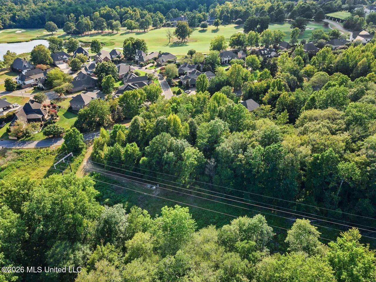 0 Pecan Acres - Photo 3