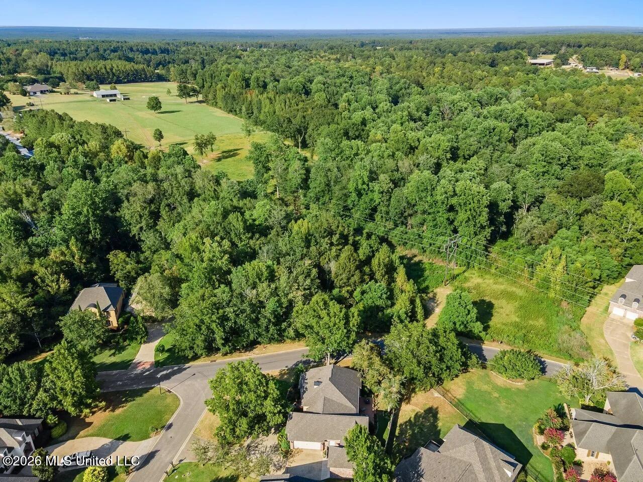 0 Pecan Acres - Photo 4