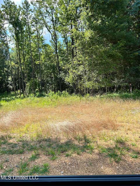 Vacant Land For Sale - 5093 S Hwy 51<br/> Hernando, MS 38632