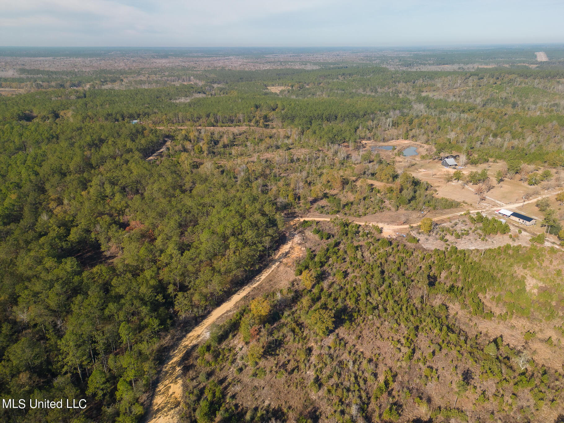 38.53 Acre Hwy 98, Leakesville, Mississippi image 8