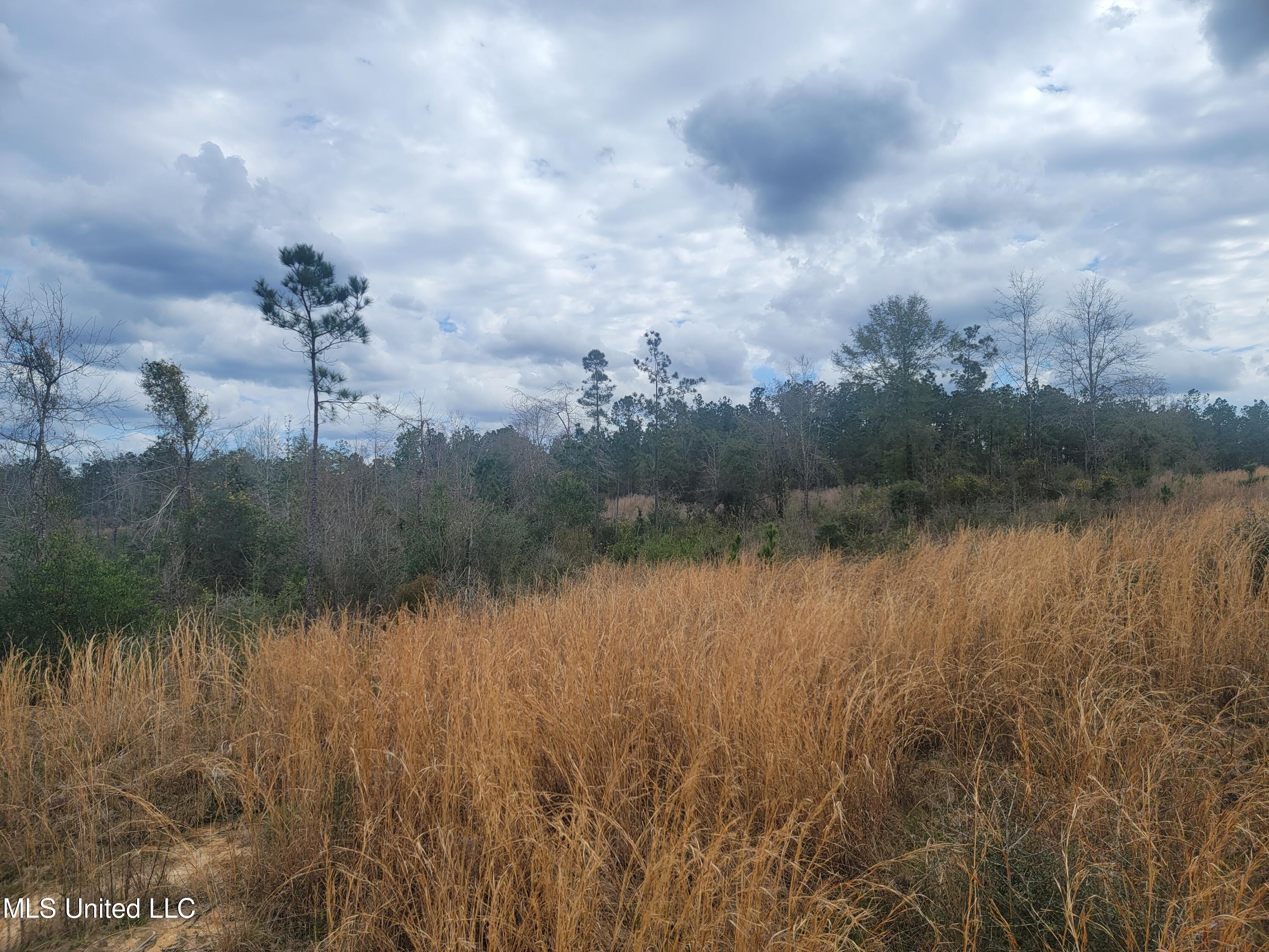 38.53 Acre Hwy 98, Leakesville, Mississippi image 11