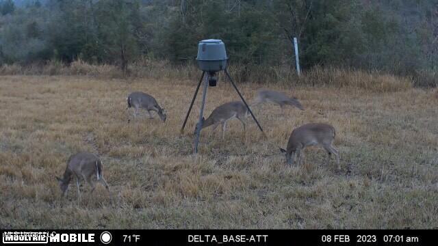 38.53 Acre Hwy 98, Leakesville, Mississippi image 14