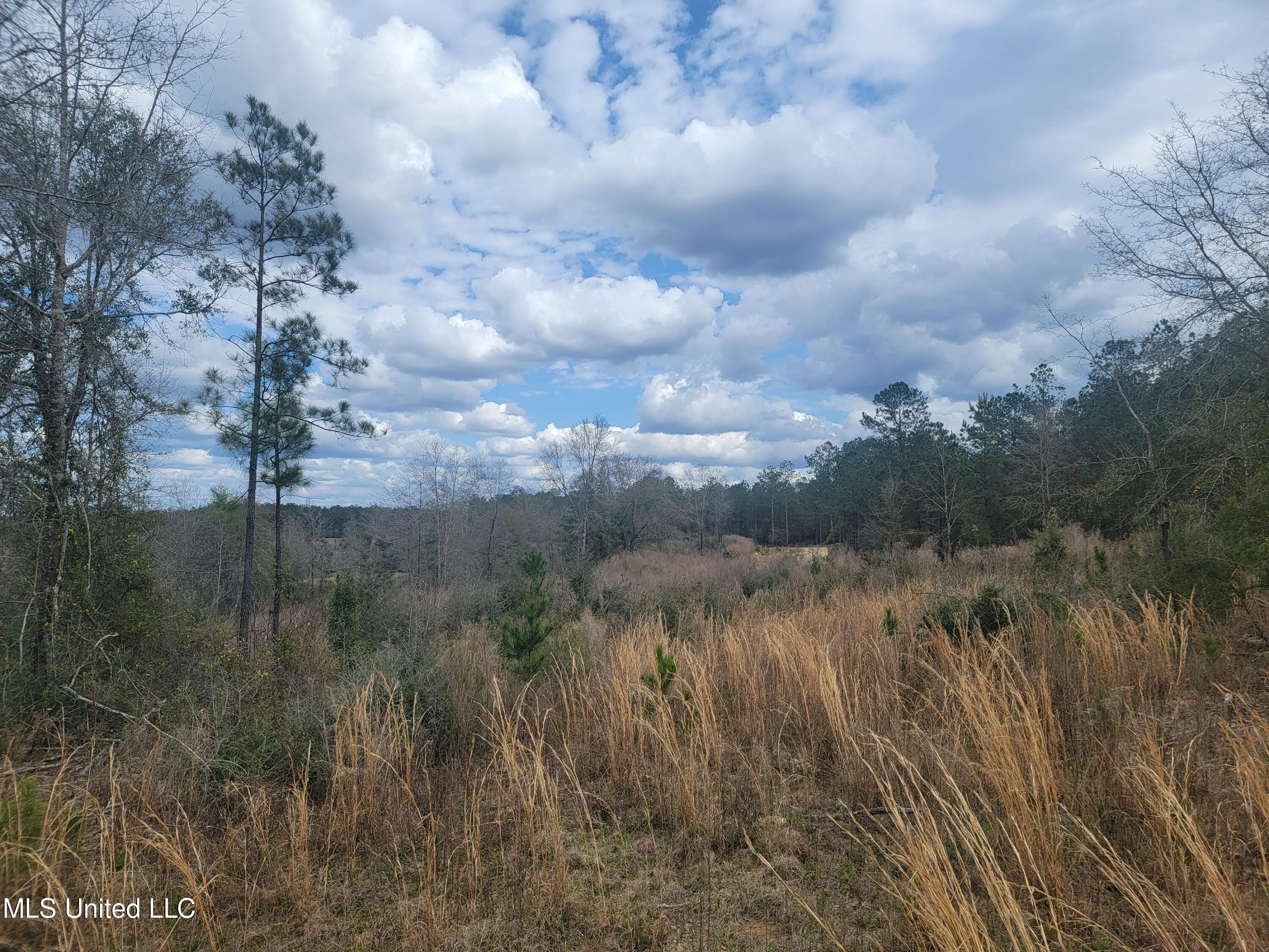 38.53 Acre Hwy 98, Leakesville, Mississippi image 12