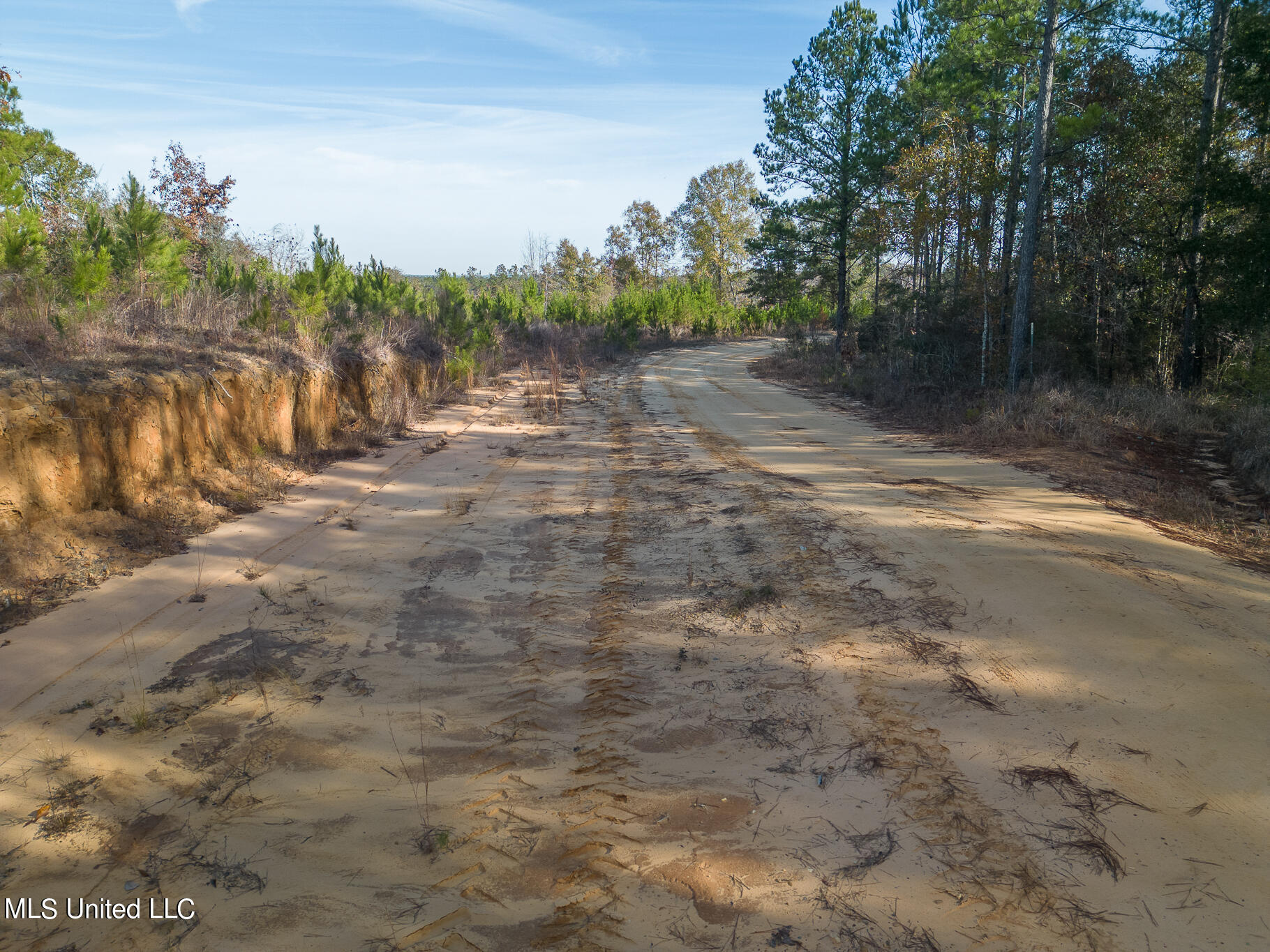 38.53 Acre Hwy 98, Leakesville, Mississippi image 13