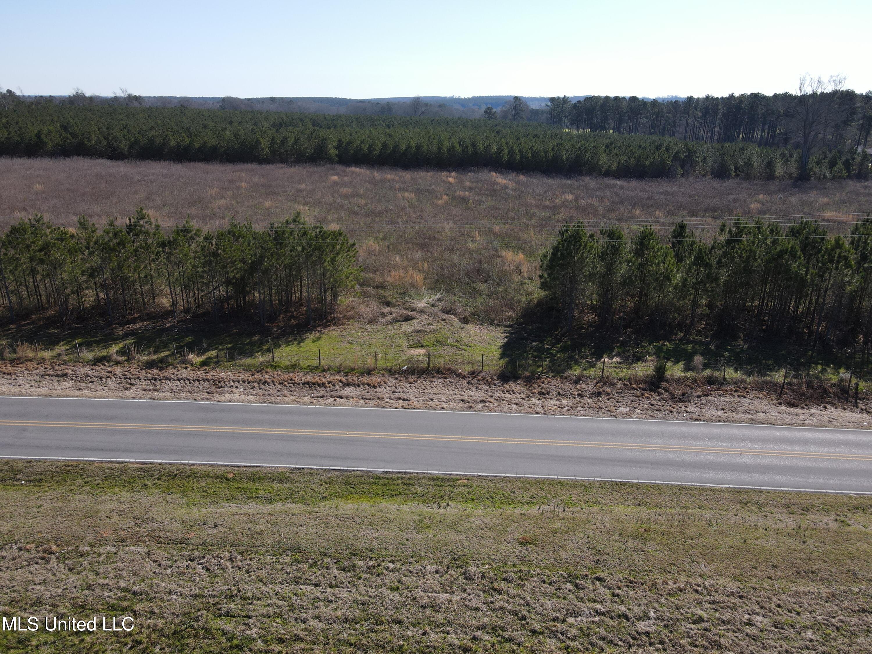 Dry Creek Road, Magee, Mississippi image 16