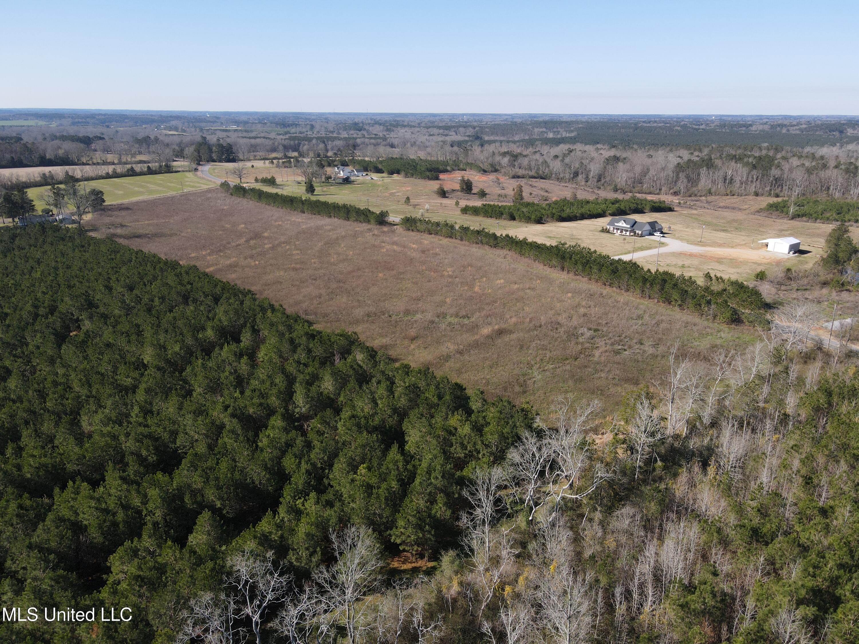Dry Creek Road, Magee, Mississippi image 9