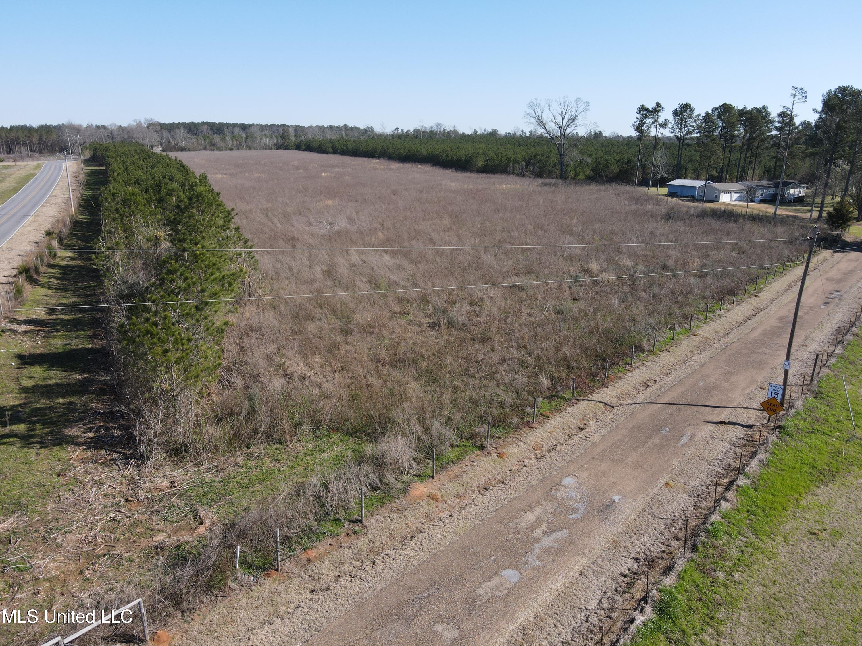 Dry Creek Road, Magee, Mississippi image 13