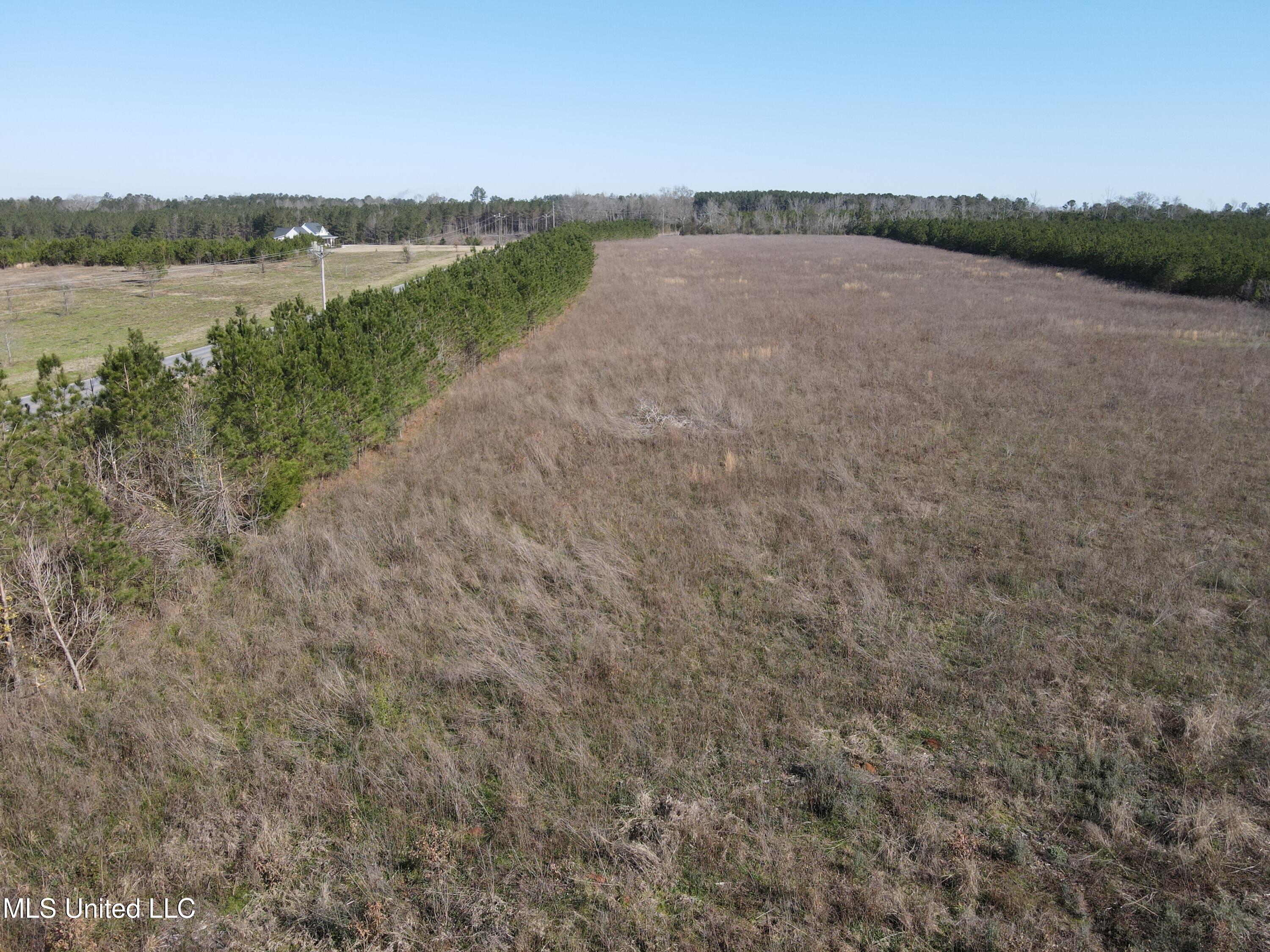 Dry Creek Road, Magee, Mississippi image 11