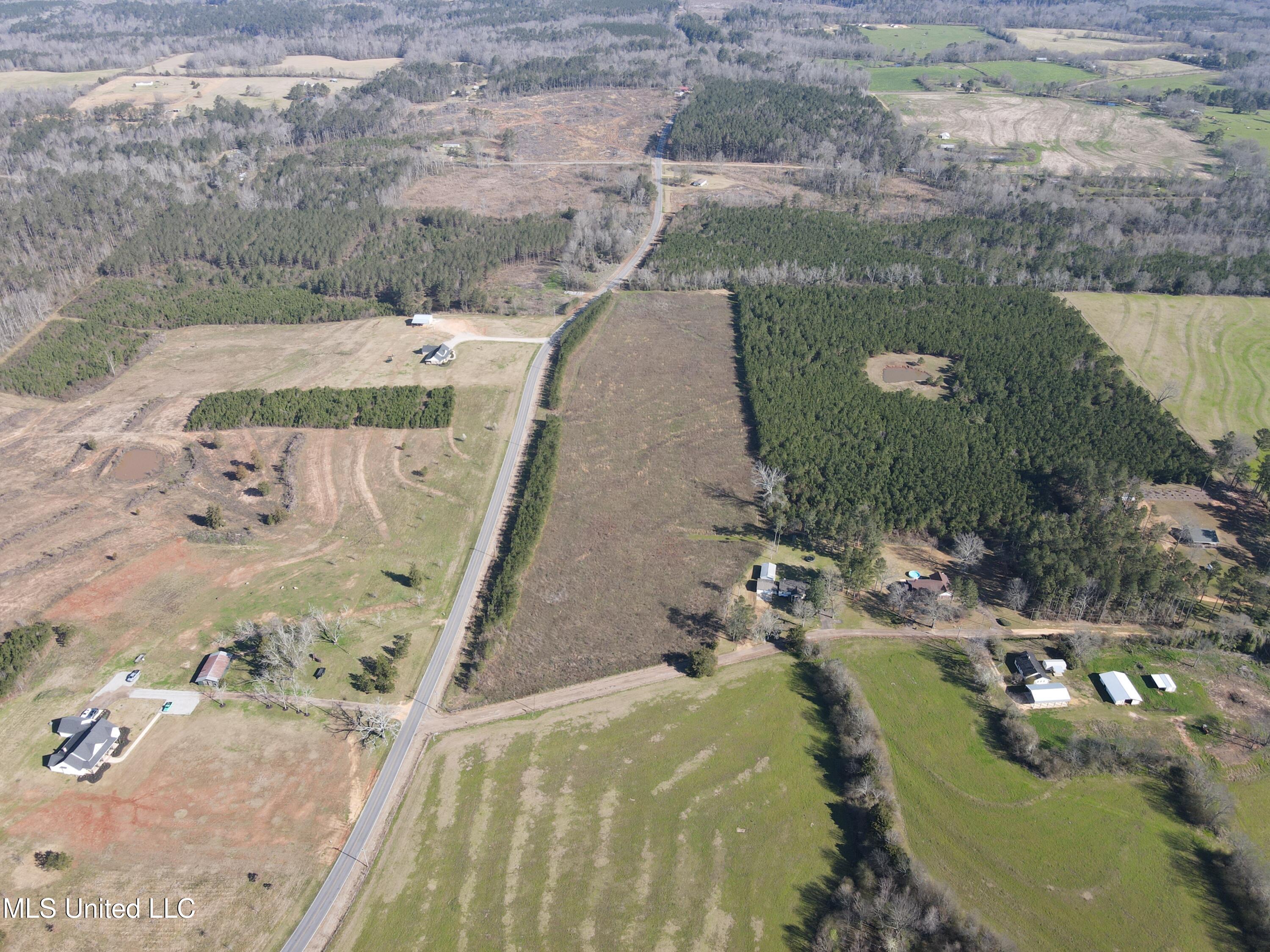 Dry Creek Road, Magee, Mississippi image 4