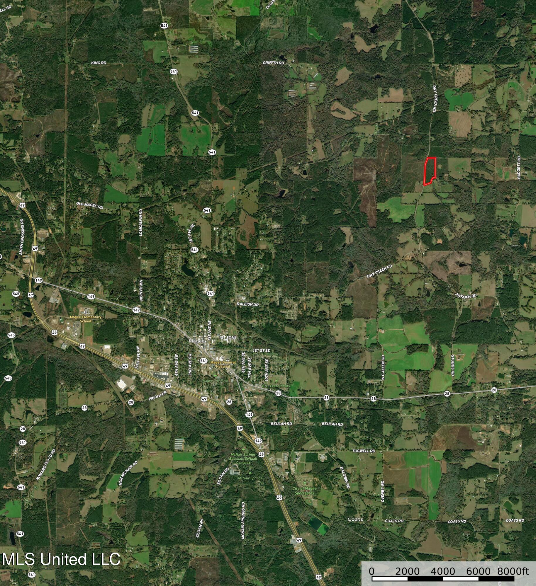 Dry Creek Road, Magee, Mississippi image 2