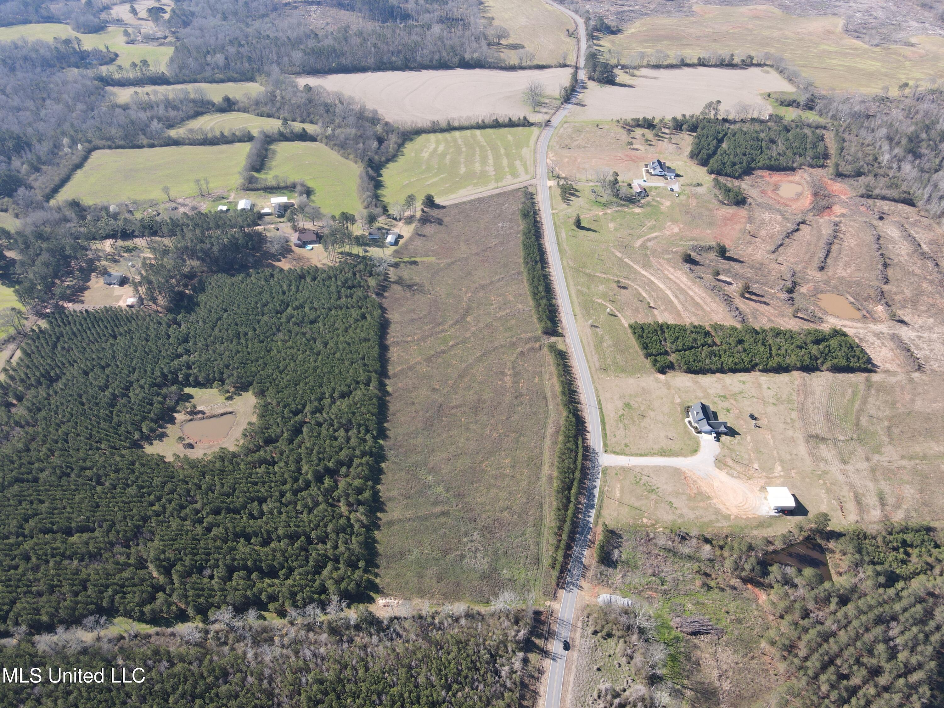 Dry Creek Road, Magee, Mississippi image 5