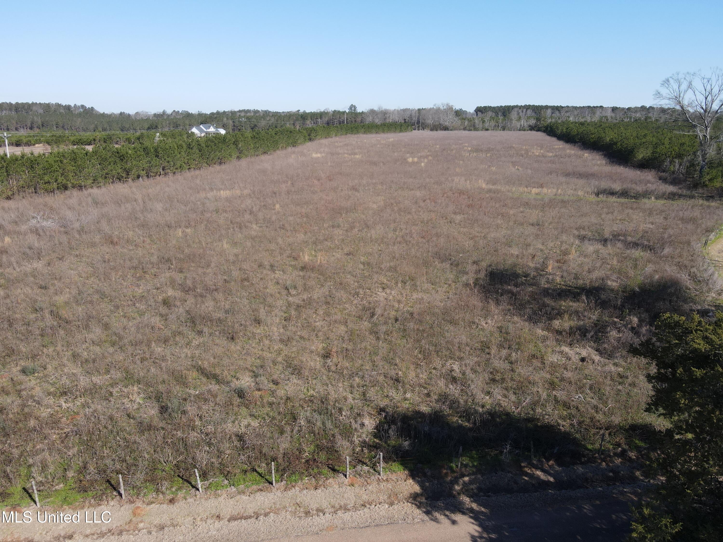Dry Creek Road, Magee, Mississippi image 12