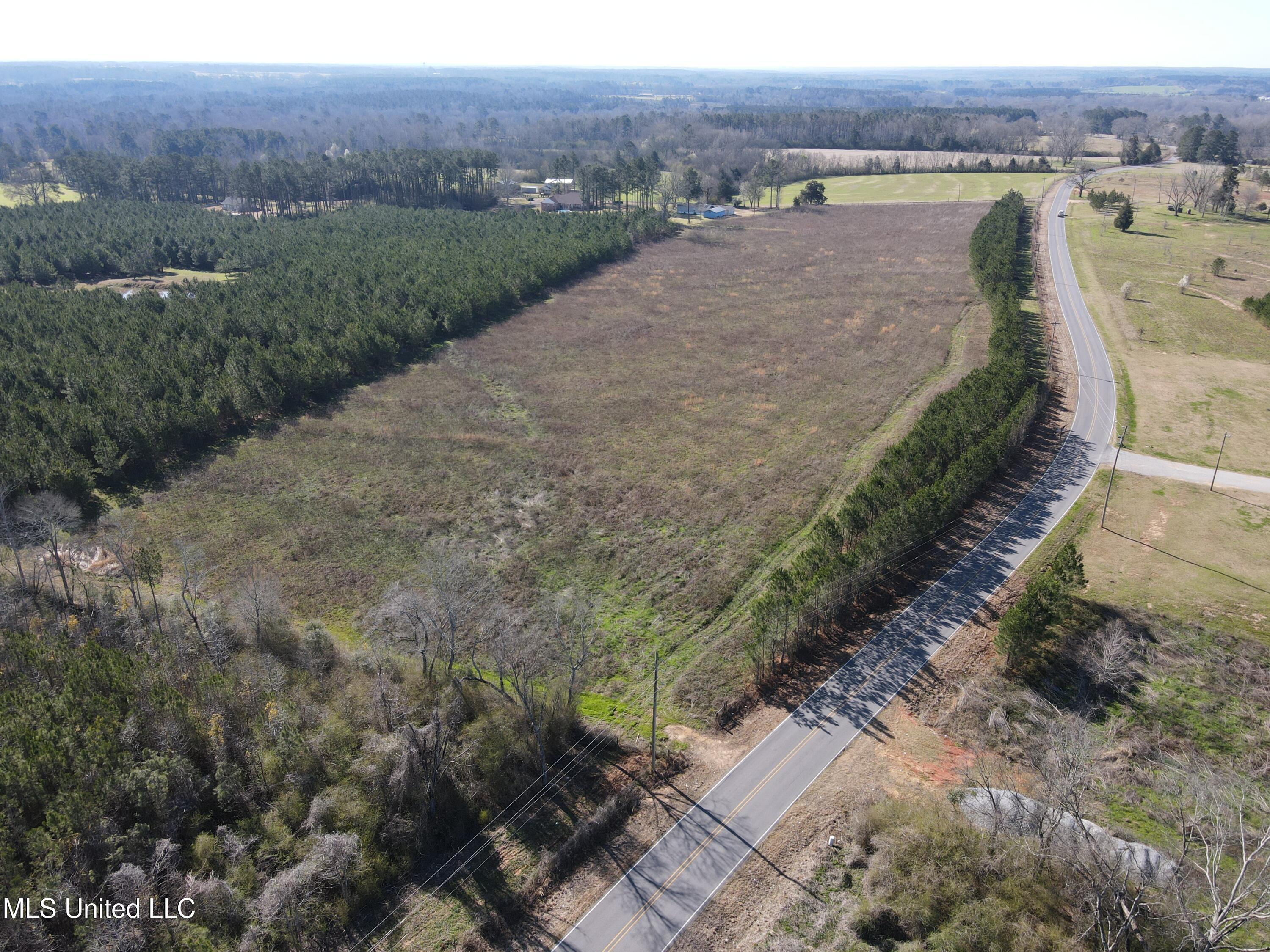 Dry Creek Road, Magee, Mississippi image 7