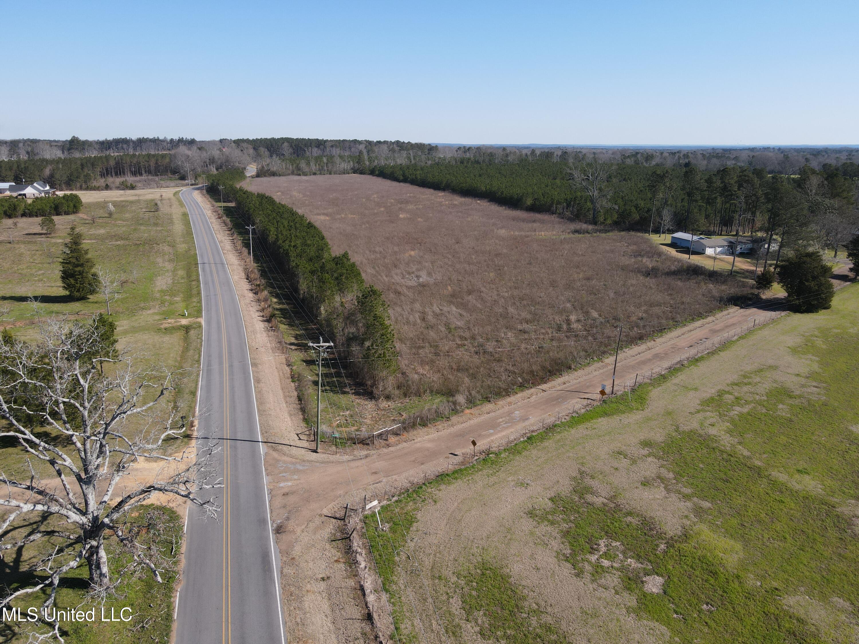 Dry Creek Road, Magee, Mississippi image 10