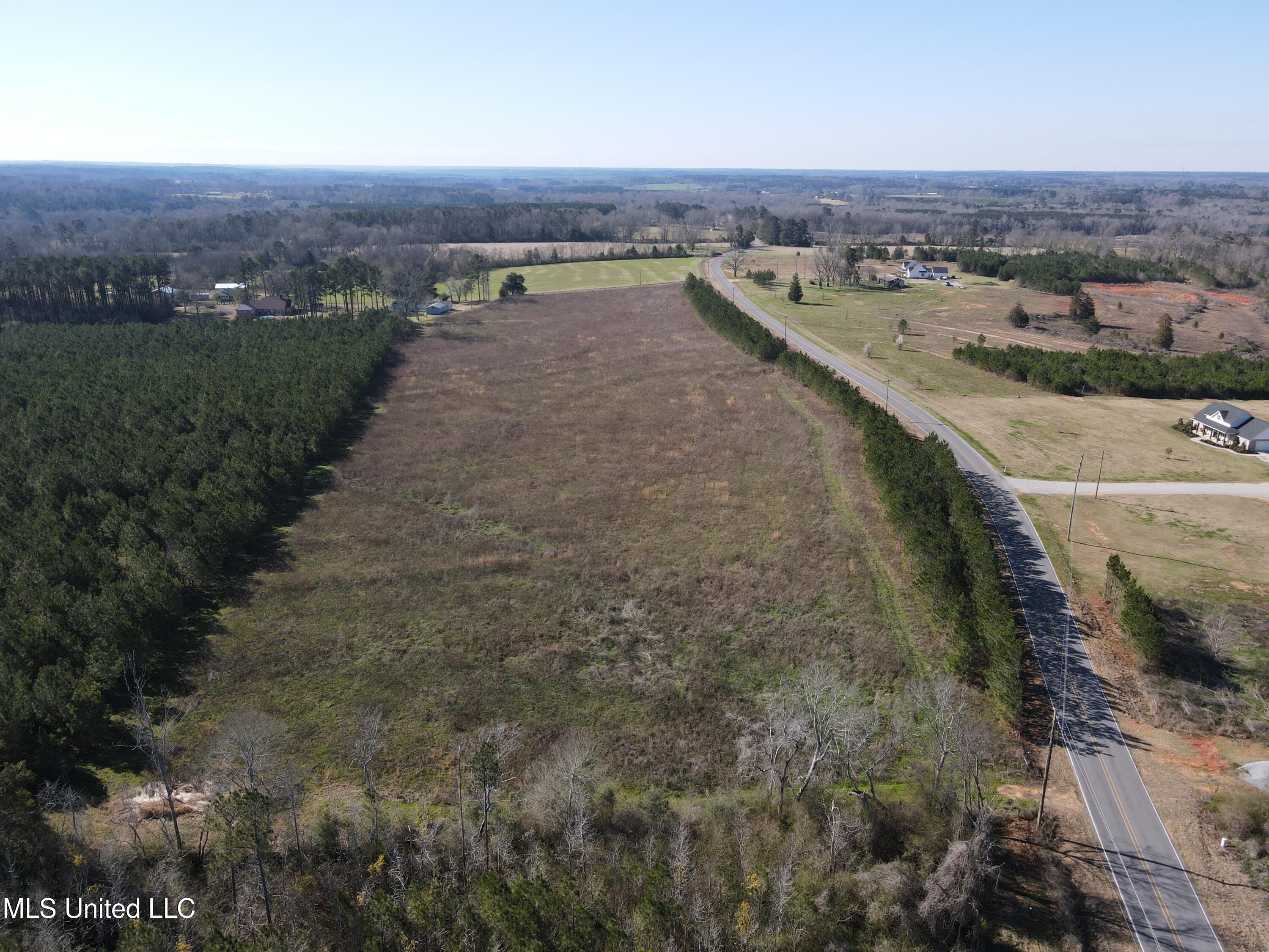 Dry Creek Road, Magee, Mississippi image 8
