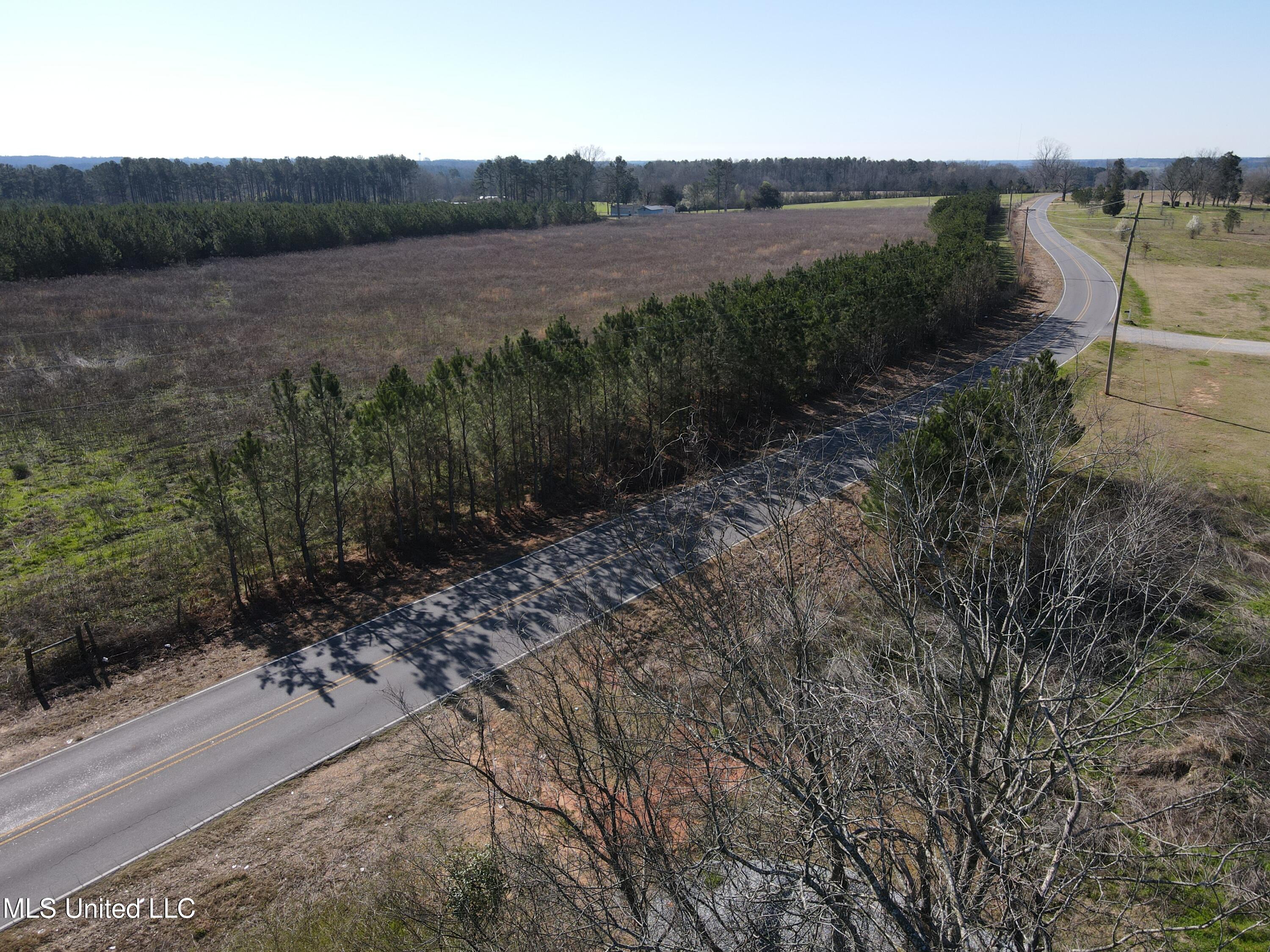 Dry Creek Road, Magee, Mississippi image 14