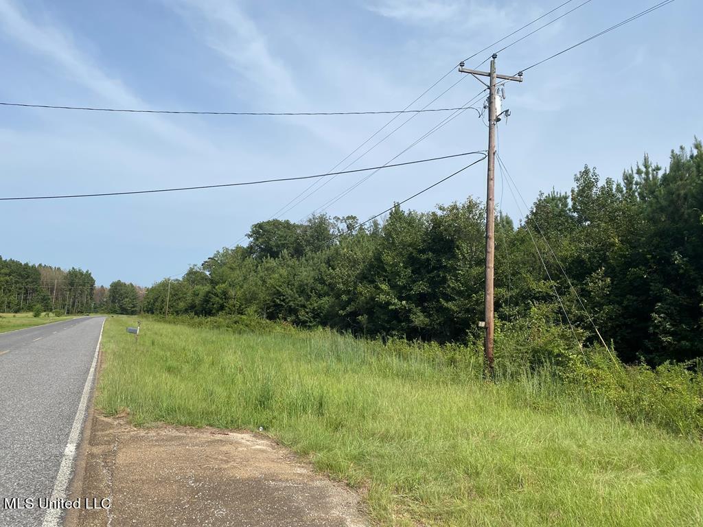 15142 NE Ms-472, Hazlehurst, Mississippi image 11