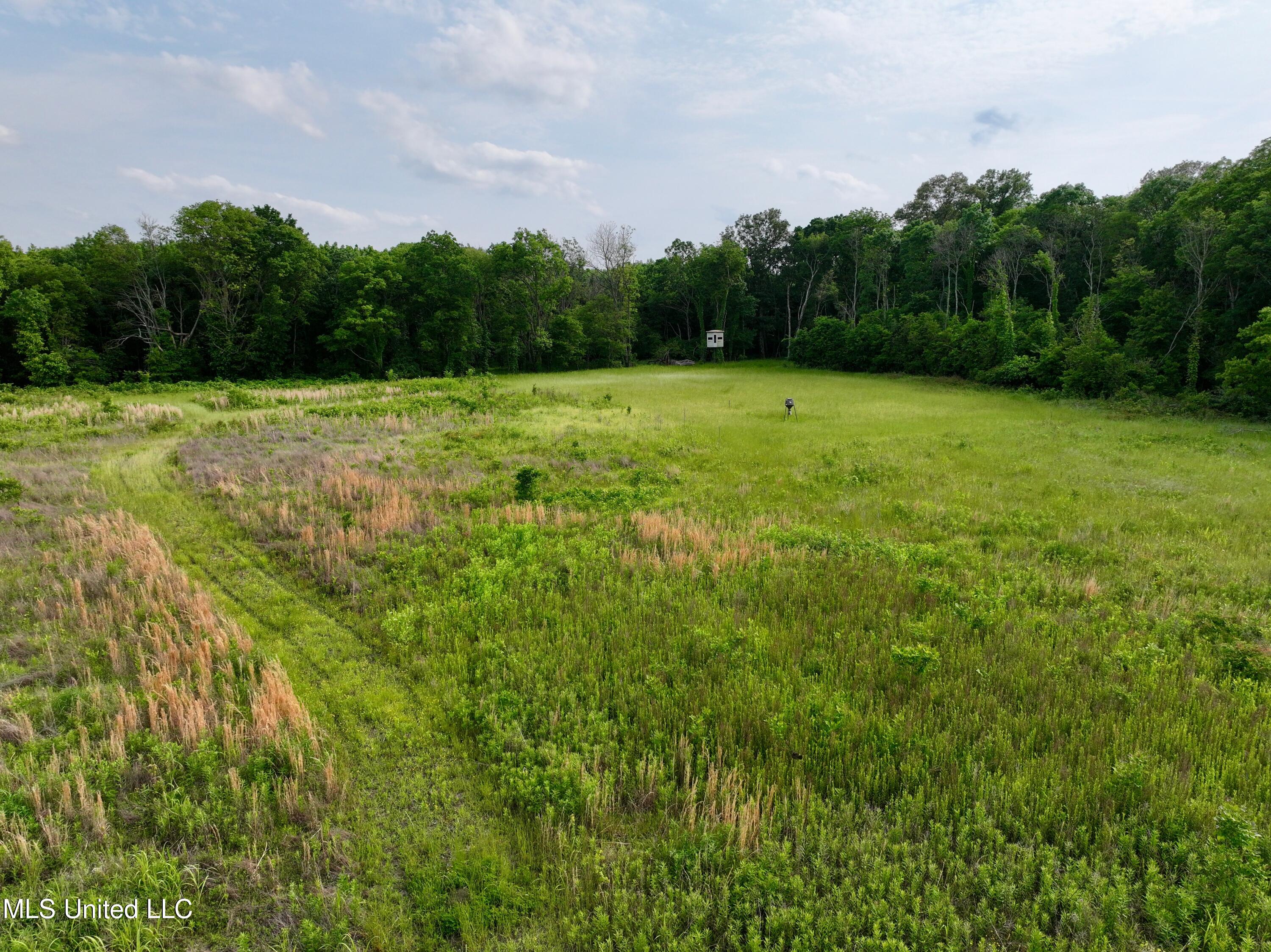 Hwy 444, Shelby, Mississippi image 19