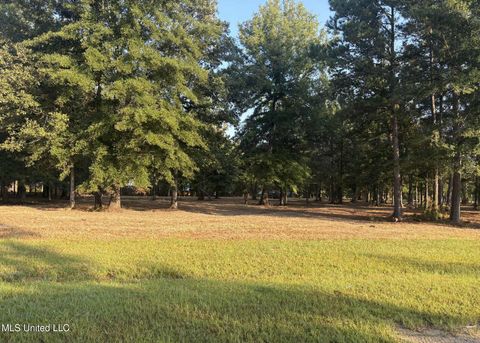 Vacant Land For Sale - 00 Shire Avenue<br/> Forest, MS 39074