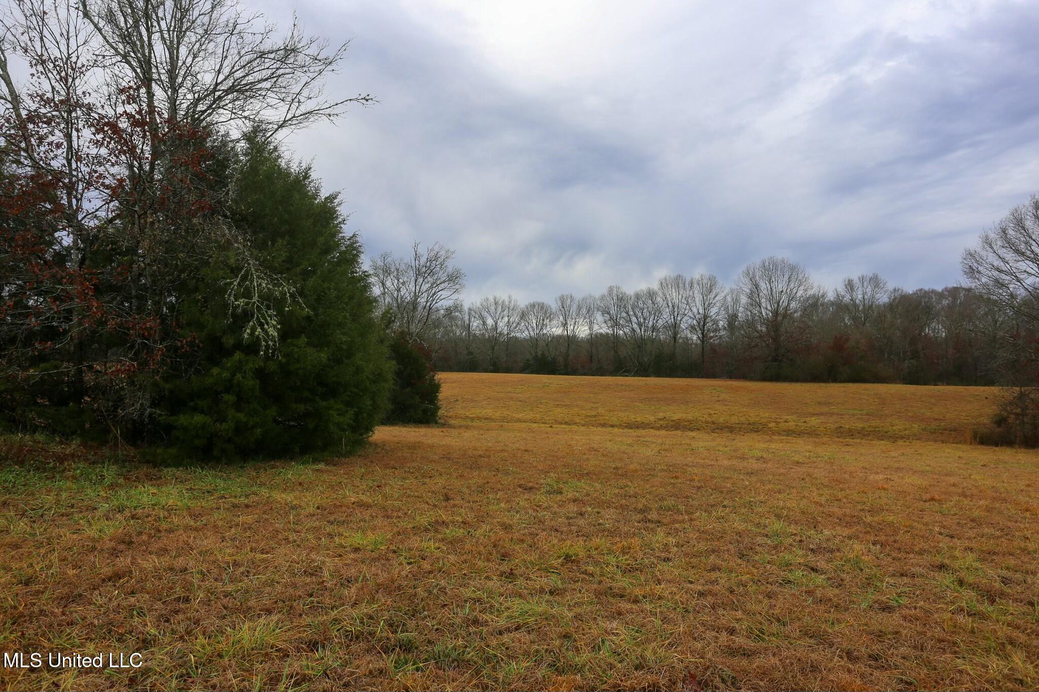 Pardue Road, Raymond, Mississippi image 9