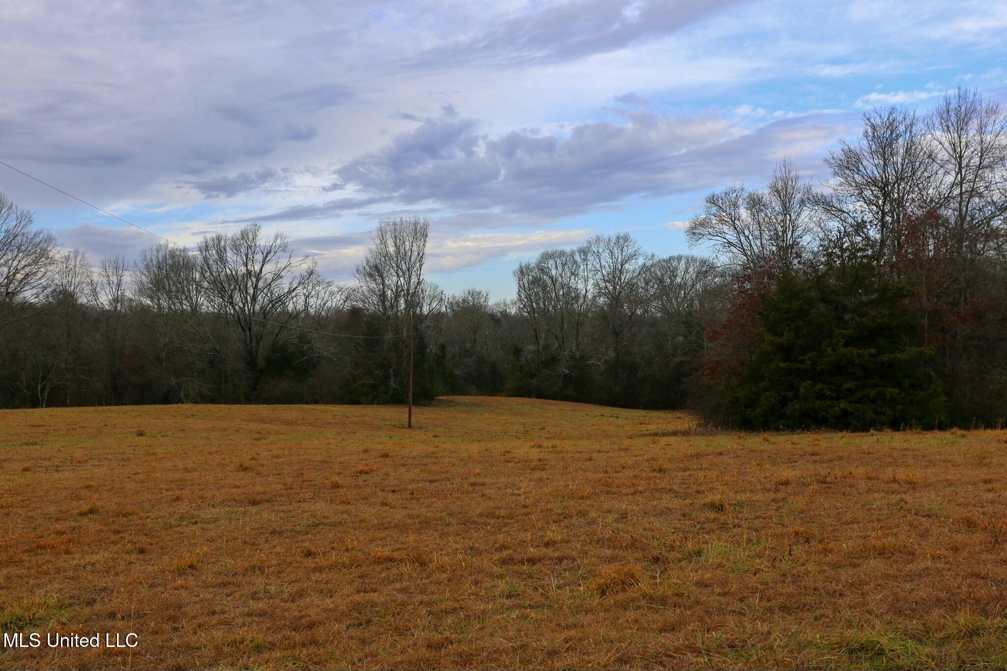 Pardue Road, Raymond, Mississippi image 6