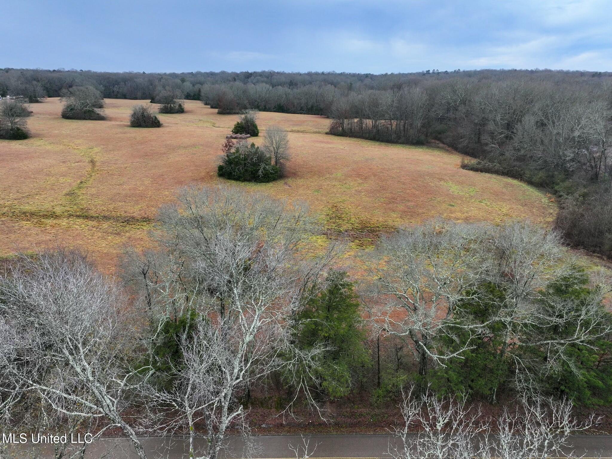 Pardue Road, Raymond, Mississippi image 5