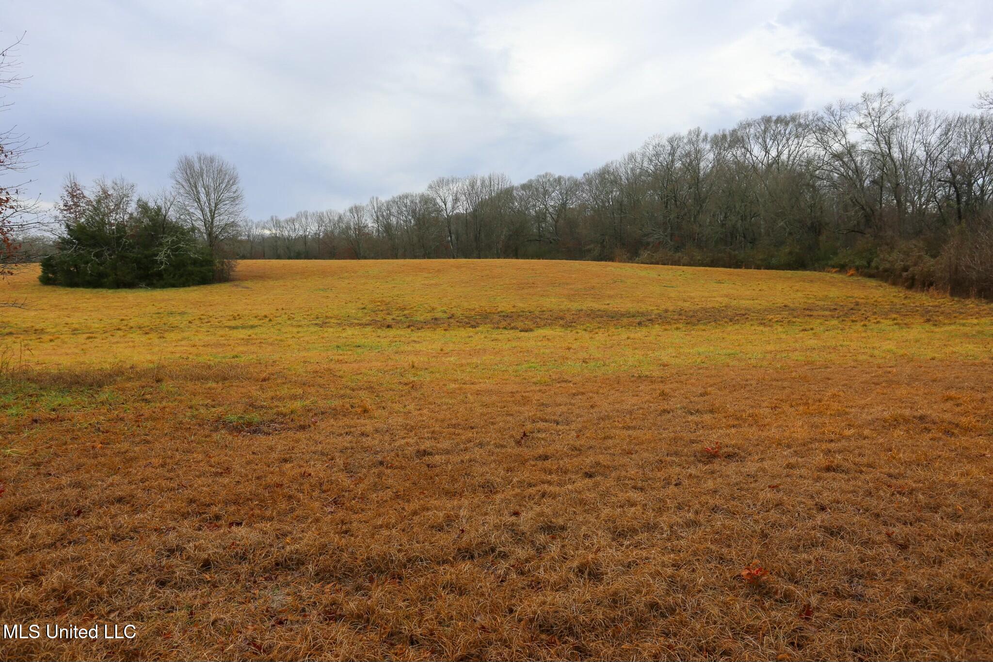 Pardue Road, Raymond, Mississippi image 16