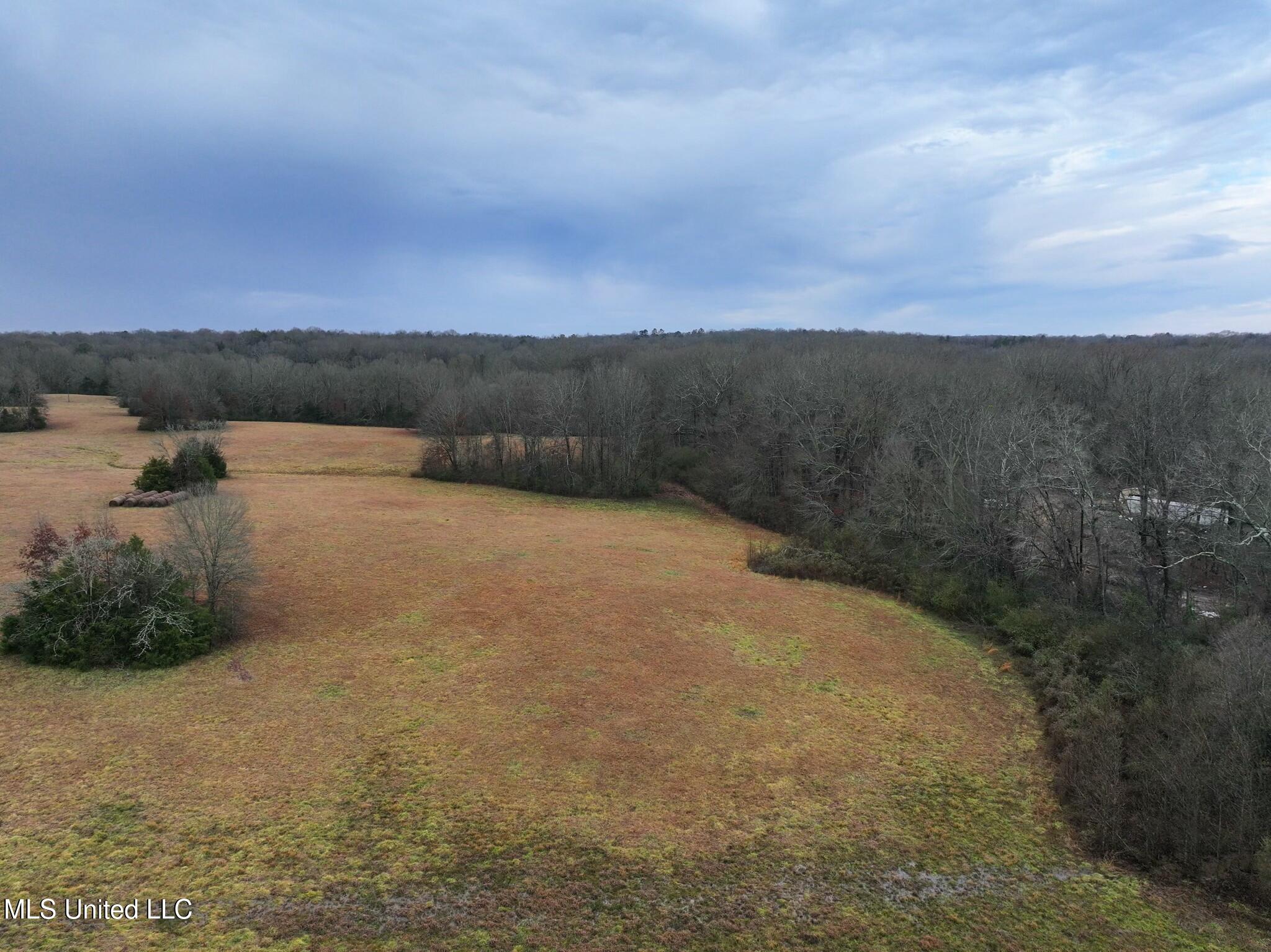 Pardue Road, Raymond, Mississippi image 8