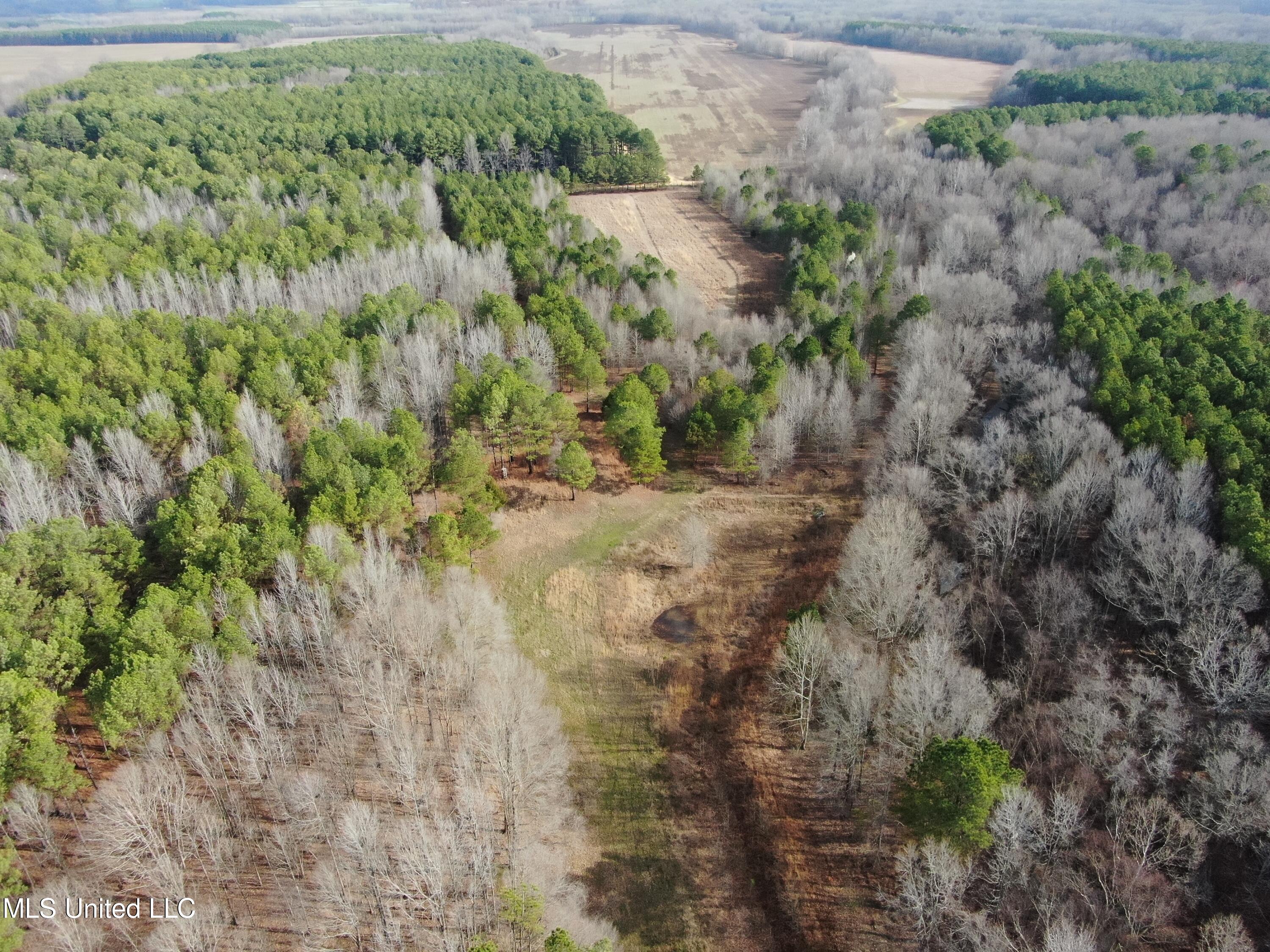 W Ruffin Road, Enid, Mississippi image 7