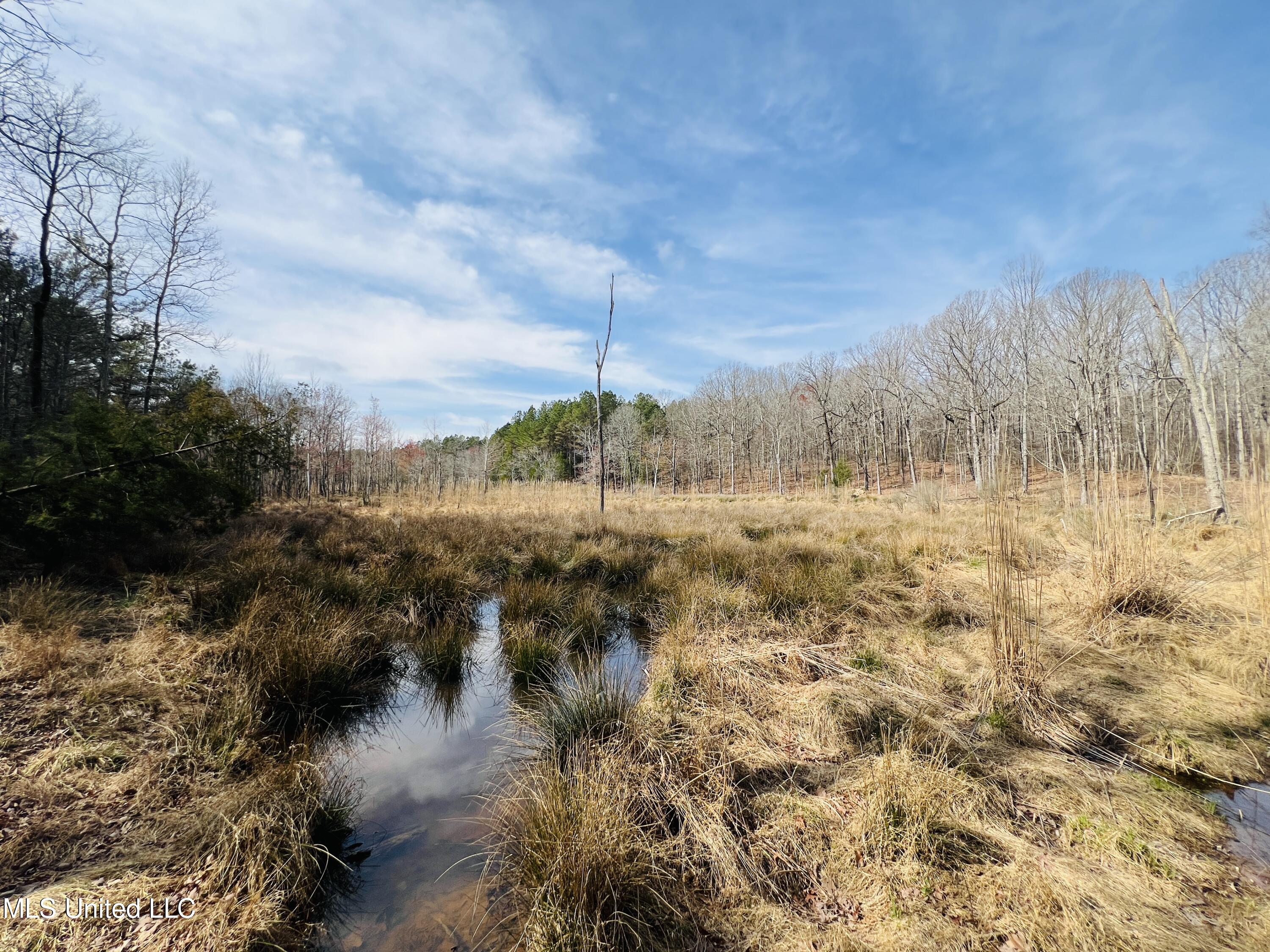 W Ruffin Road, Enid, Mississippi image 9