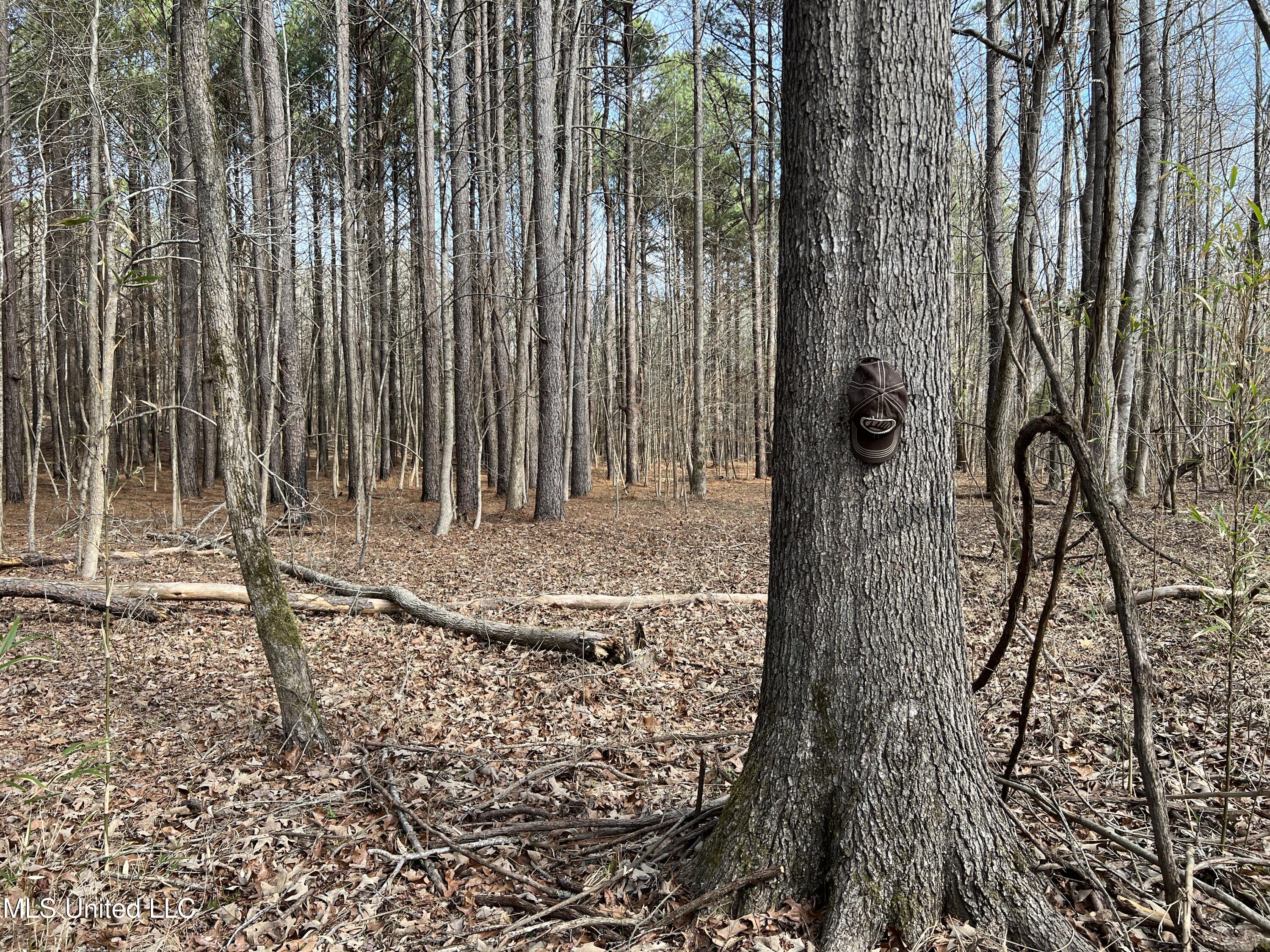 W Ruffin Road, Enid, Mississippi image 36