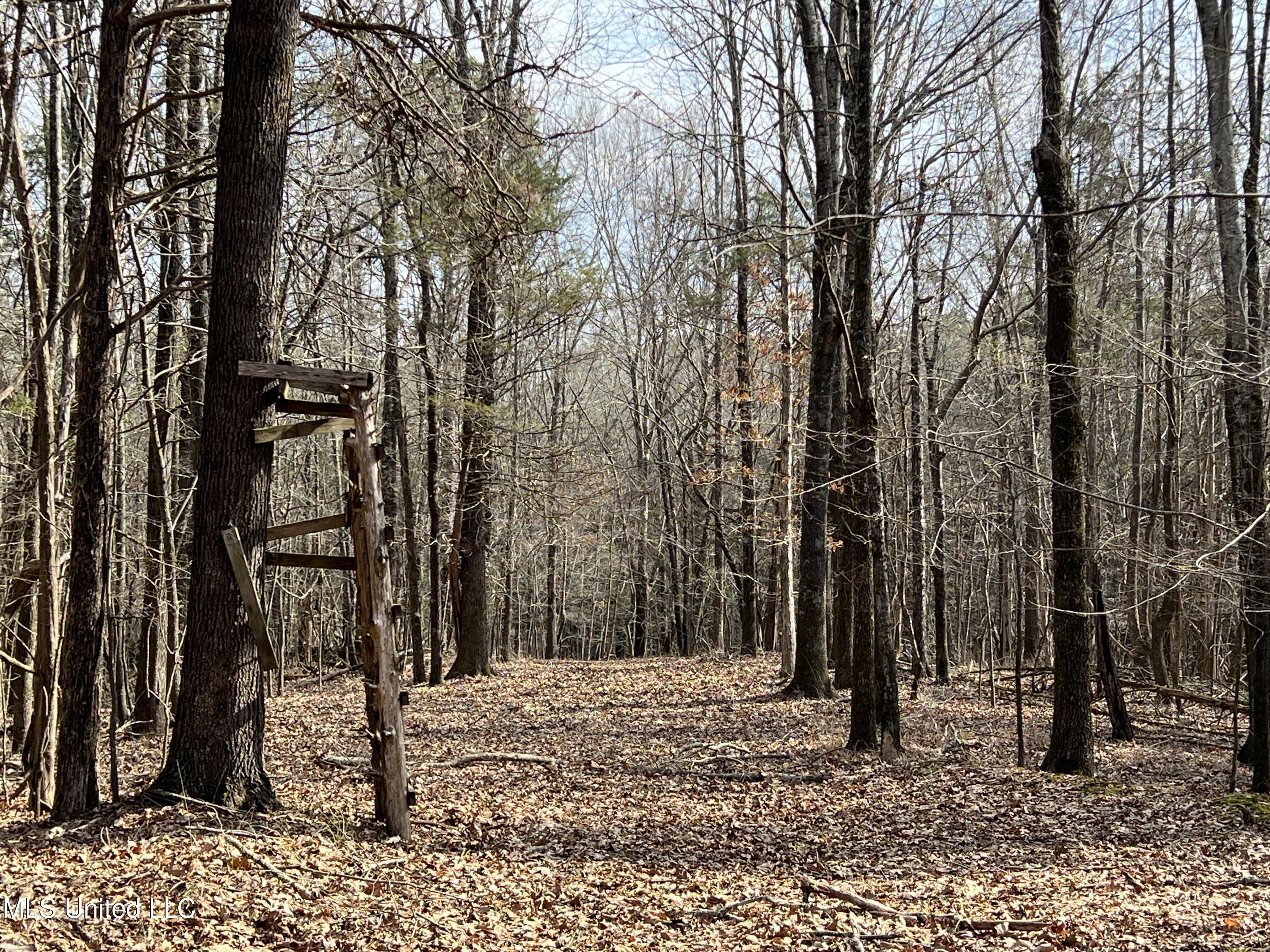 W Ruffin Road, Enid, Mississippi image 35