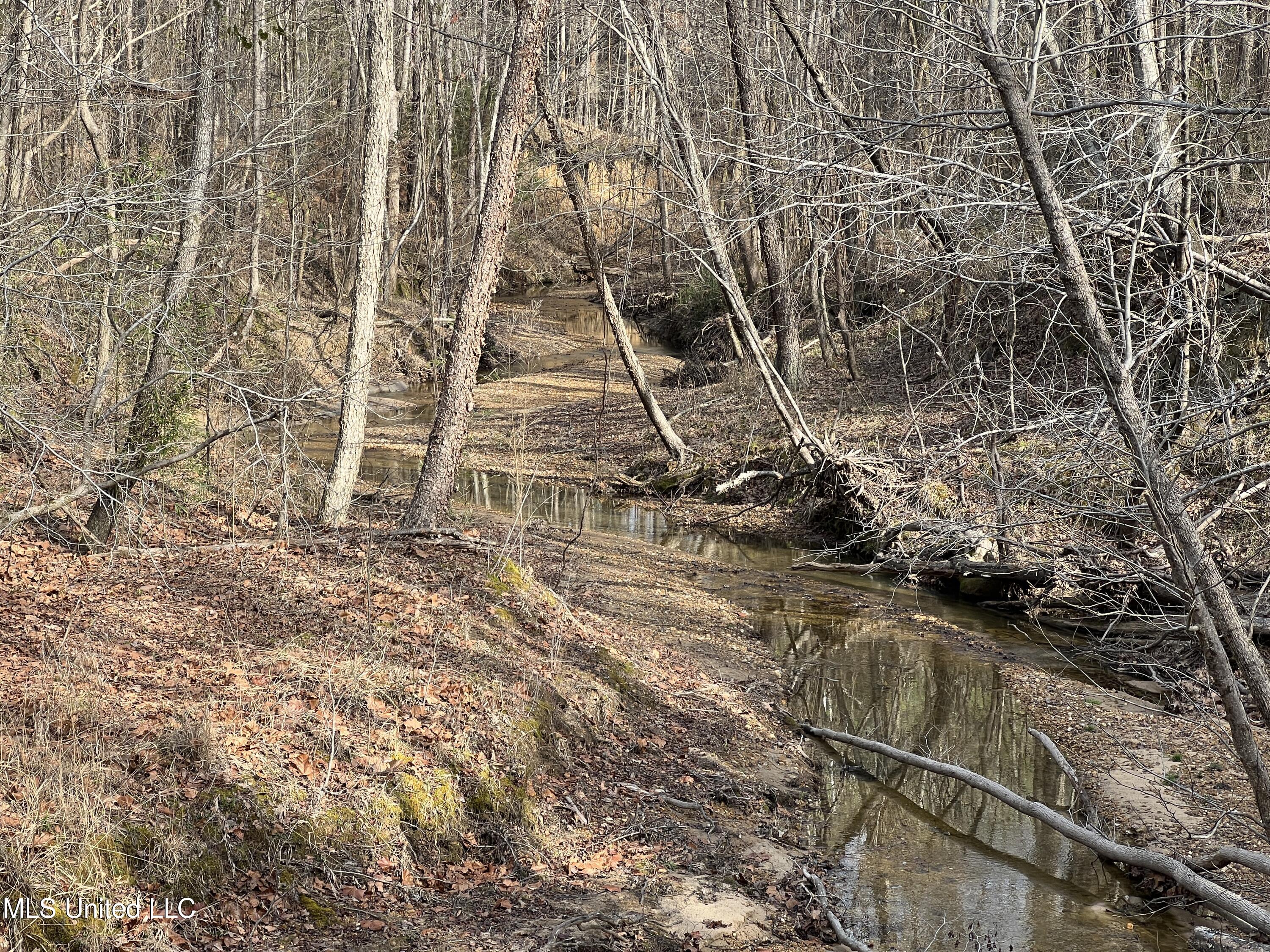 W Ruffin Road, Enid, Mississippi image 6