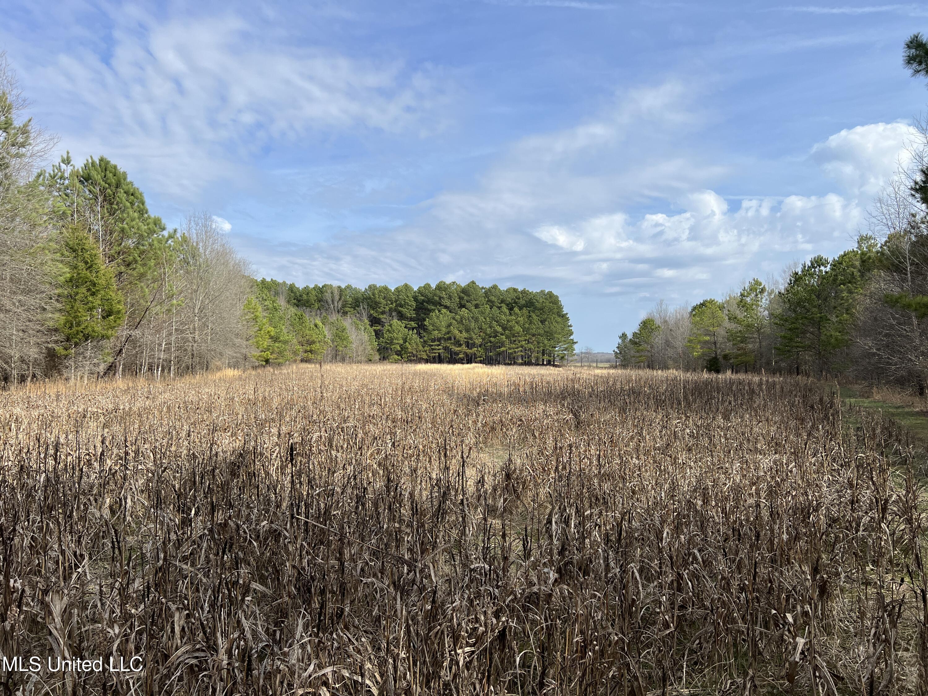 W Ruffin Road, Enid, Mississippi image 33