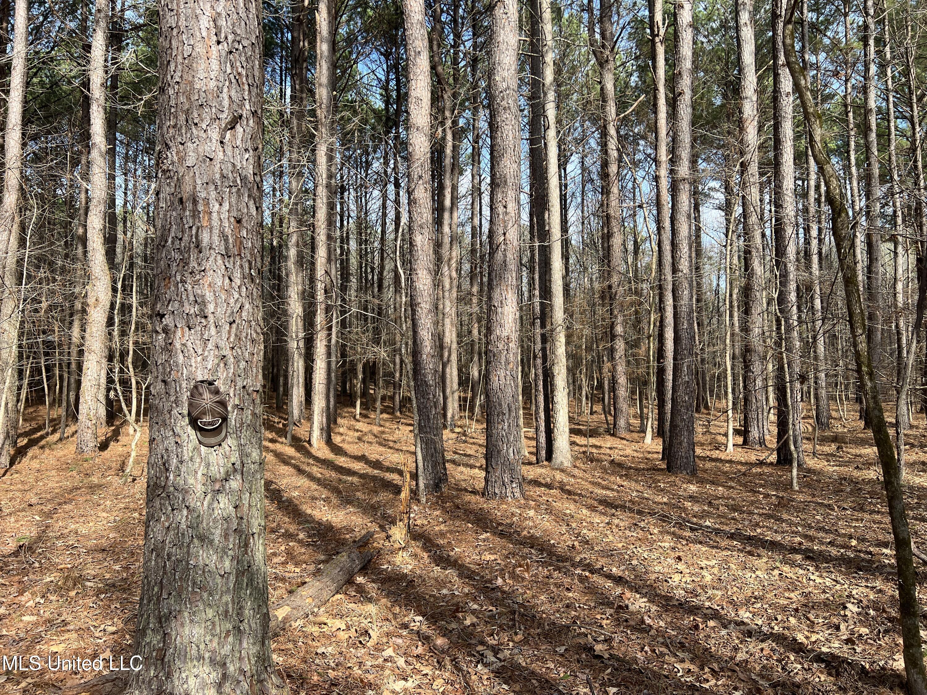 W Ruffin Road, Enid, Mississippi image 37