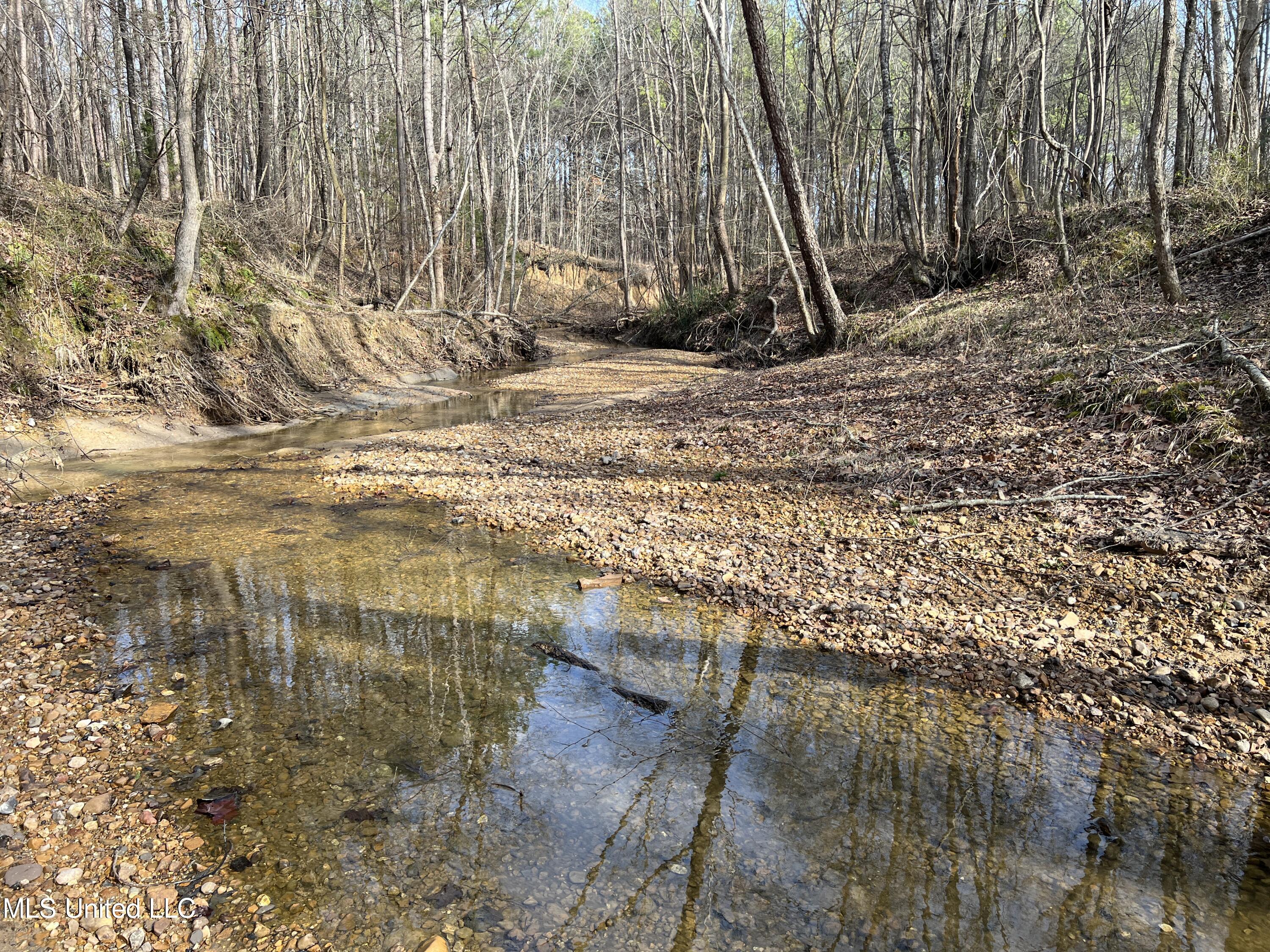 W Ruffin Road, Enid, Mississippi image 2