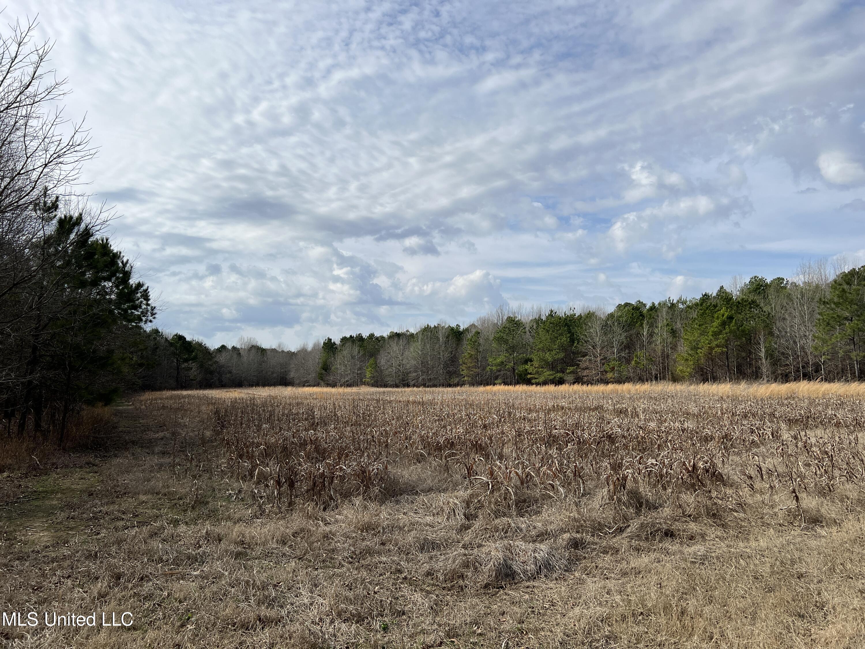 W Ruffin Road, Enid, Mississippi image 13