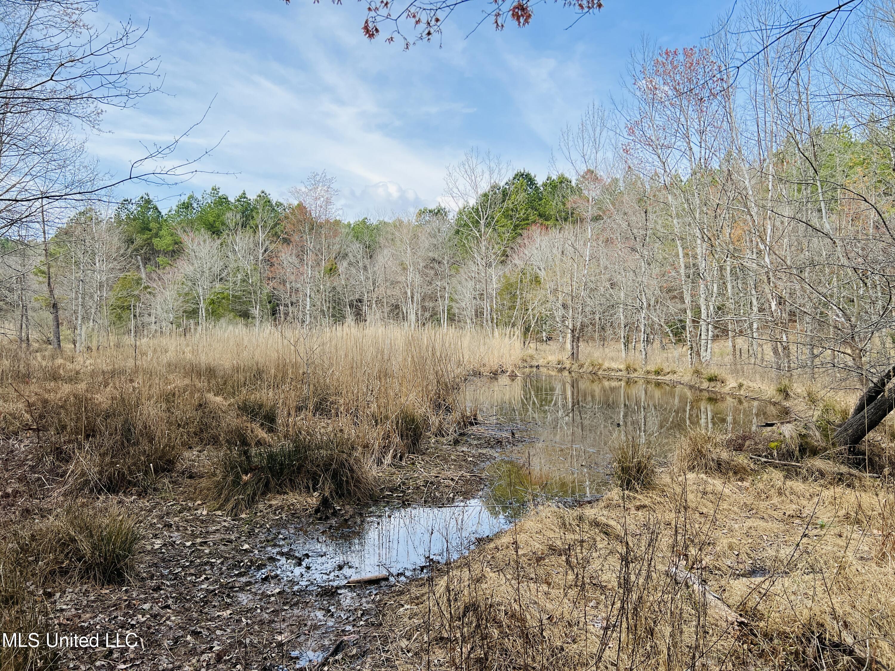 W Ruffin Road, Enid, Mississippi image 32