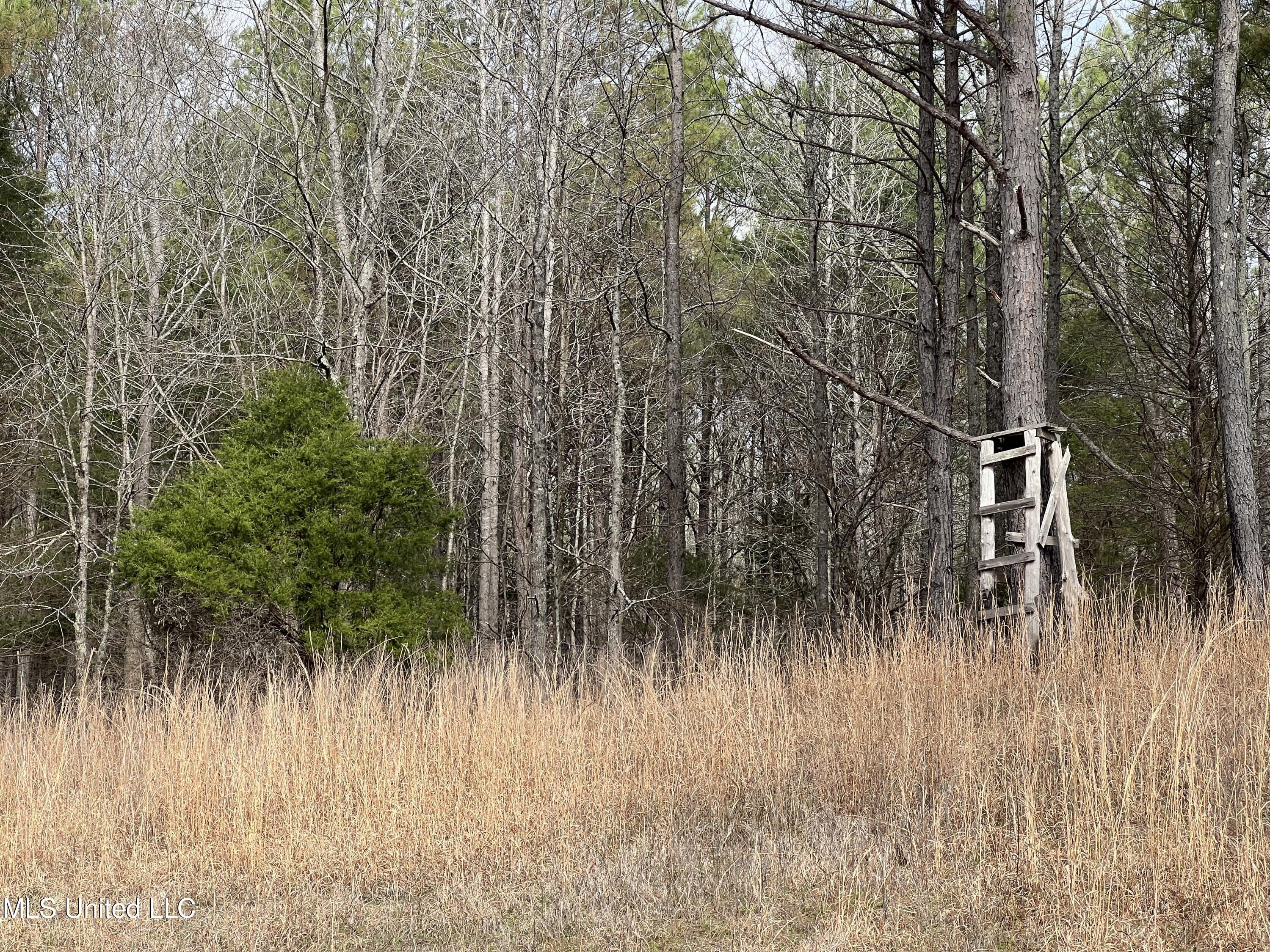 W Ruffin Road, Enid, Mississippi image 11